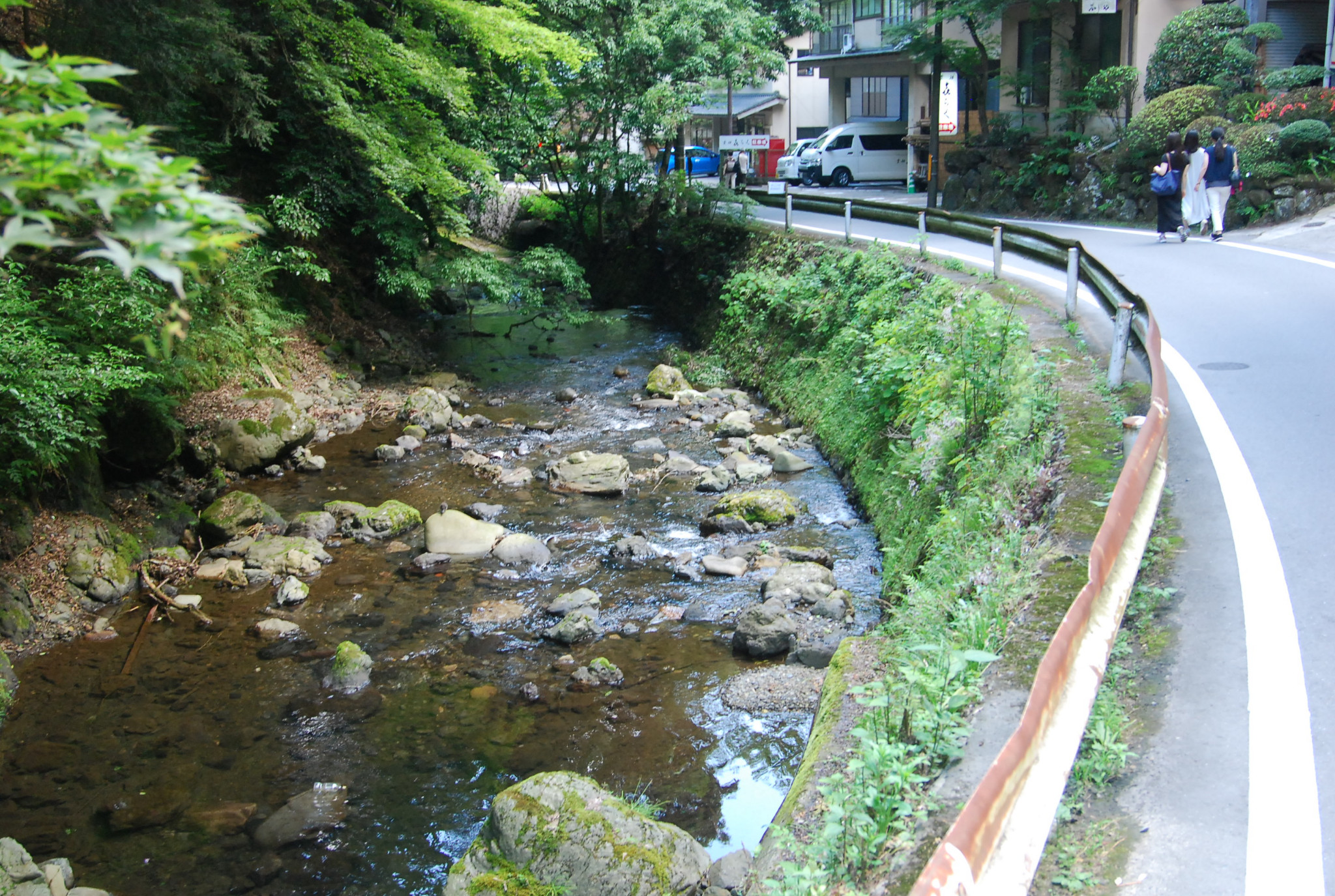 京都自助遊攻略