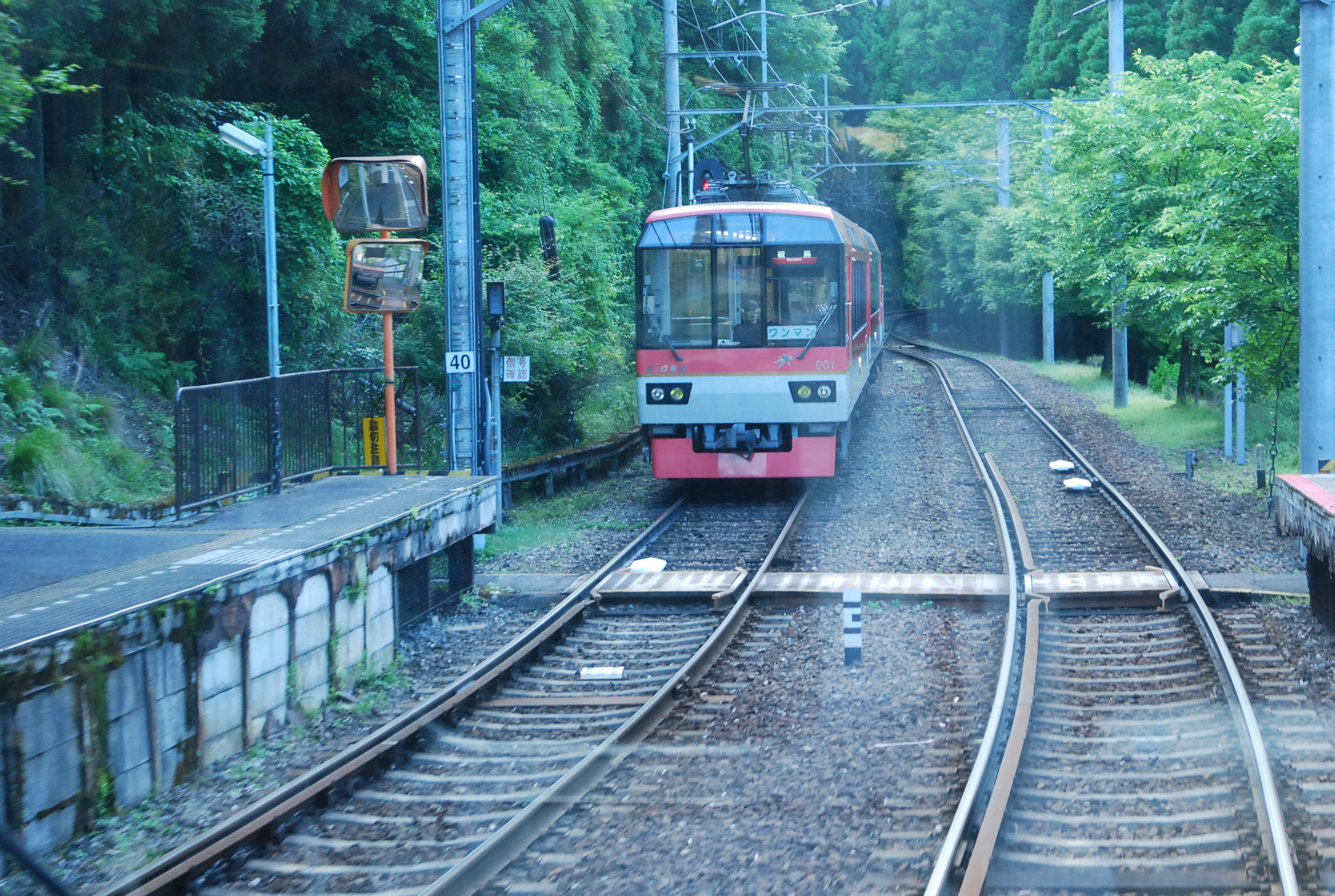 京都自助遊攻略