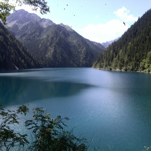 自由自在的一生无