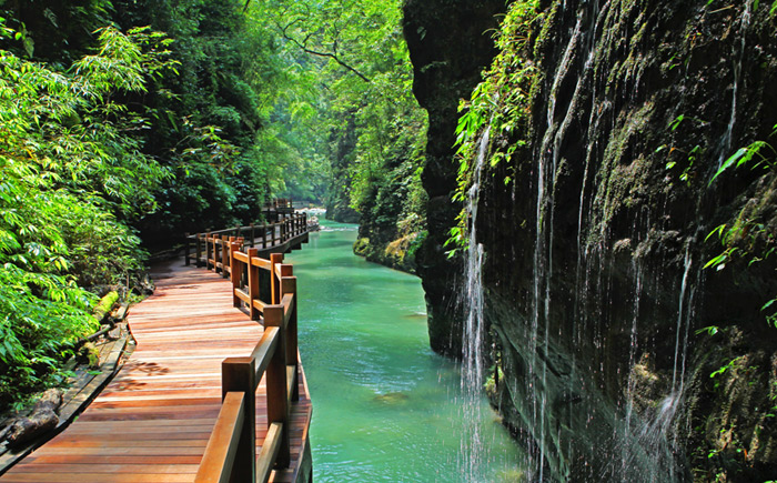重庆万盛 黑山谷景区门票电子票(随时可定 未取票可退)