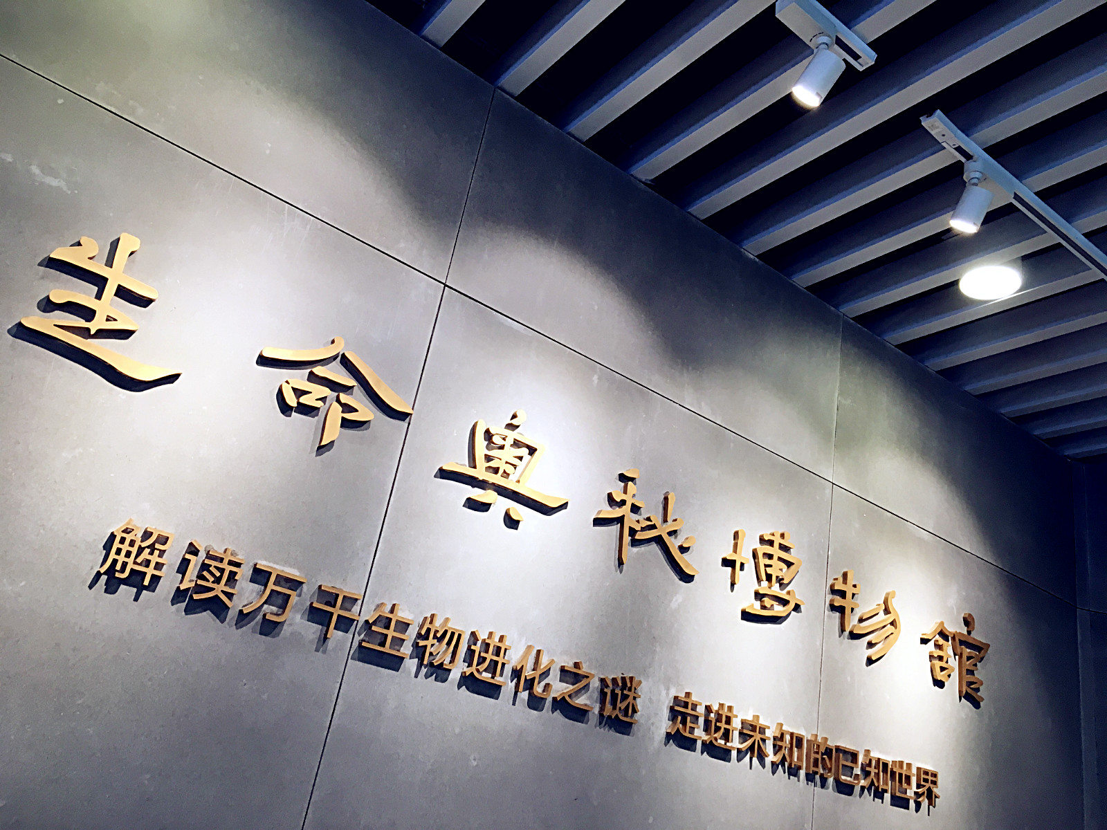 成都生命奥秘博物馆攻略,生命奥秘博物馆门票_地址,生命奥秘博物馆