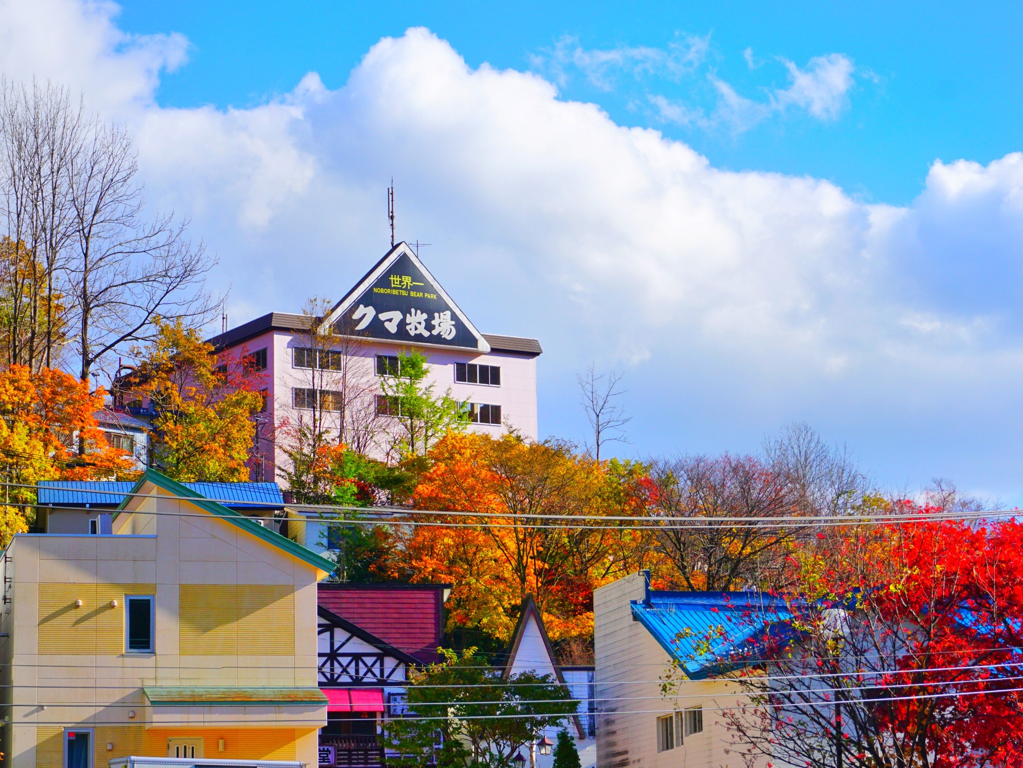 北海道自助遊攻略