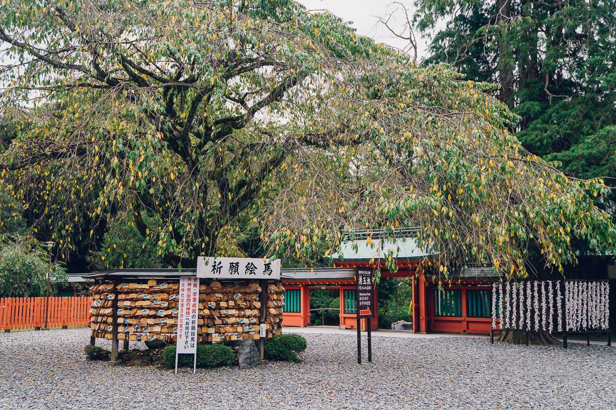 【遊記】日本靜岡——小丸子的故鄉之旅,日本旅遊攻略 - 馬蜂窩