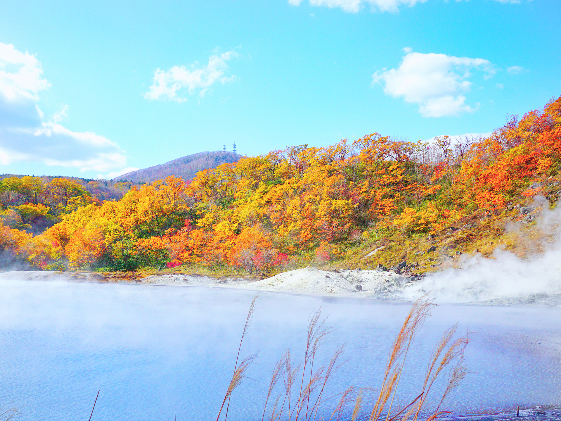 北海道自助遊攻略