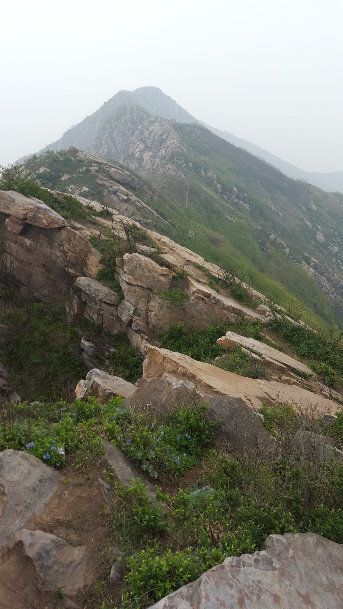 春行记蚂蚁山寻觅神秘之旅