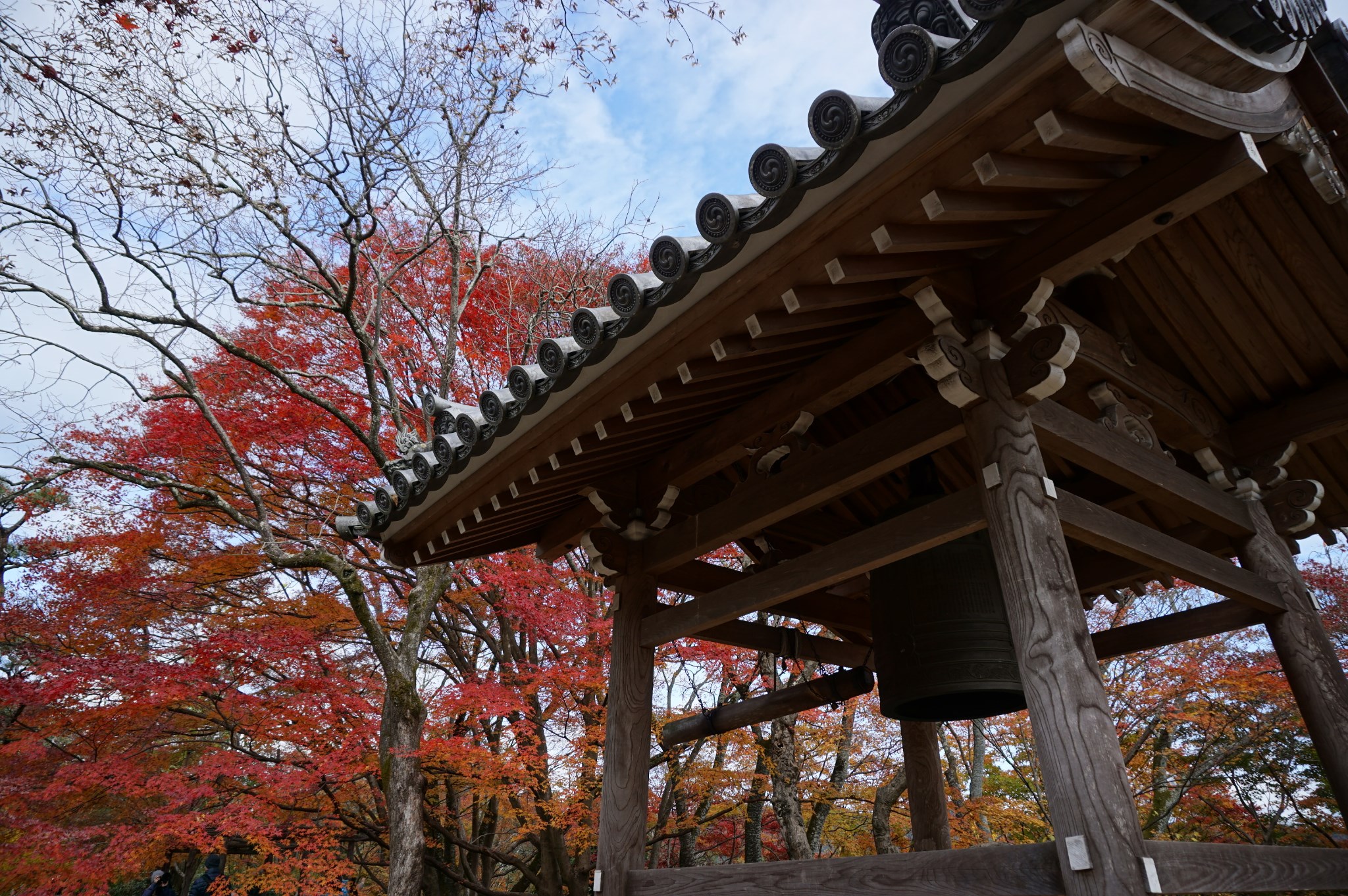 京都三日九寺暴走红叶赏原图未修片