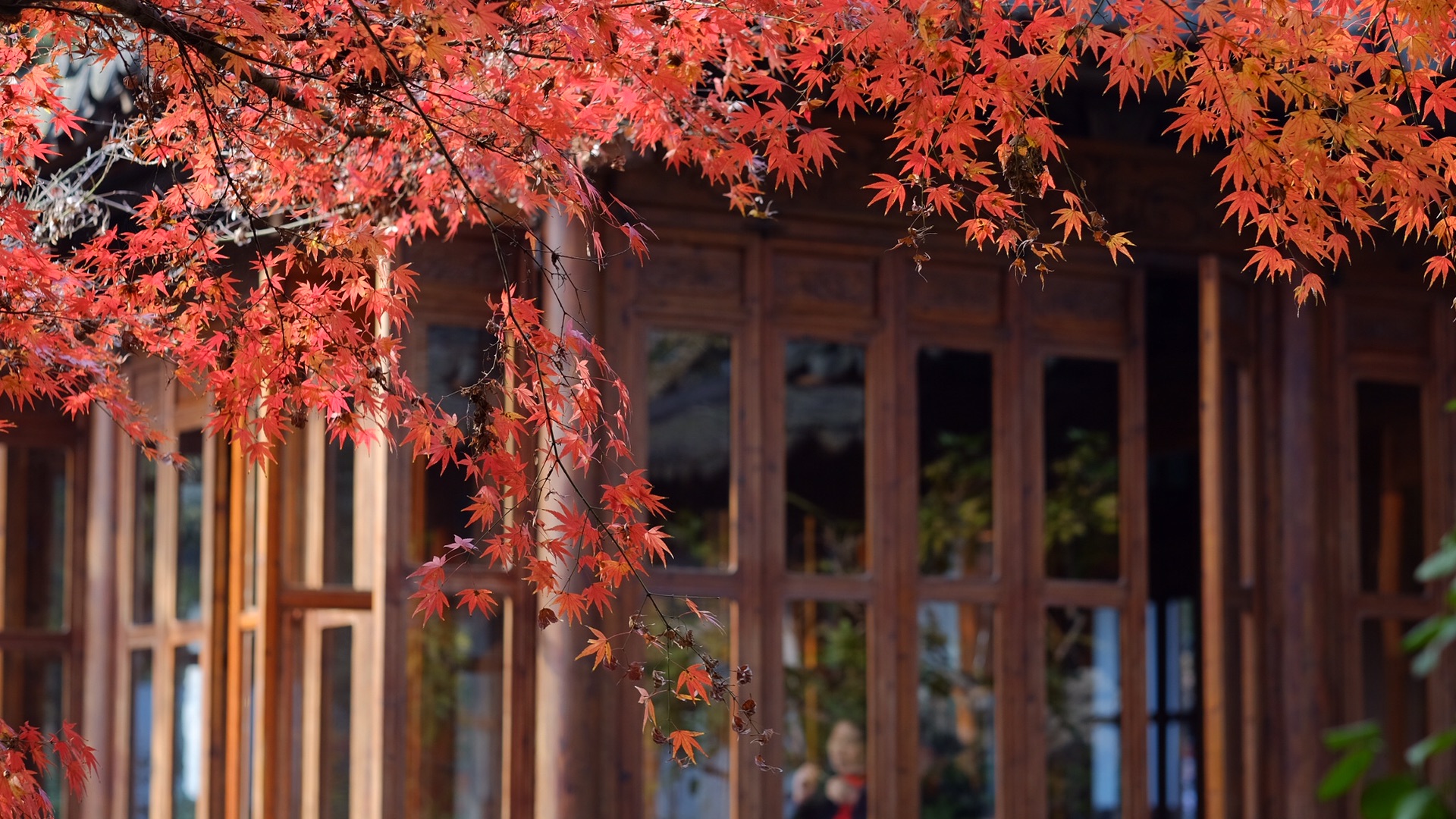 秋天去杭州天气怎么样，秋天去杭州穿什么，秋天去杭州应该注意什么  