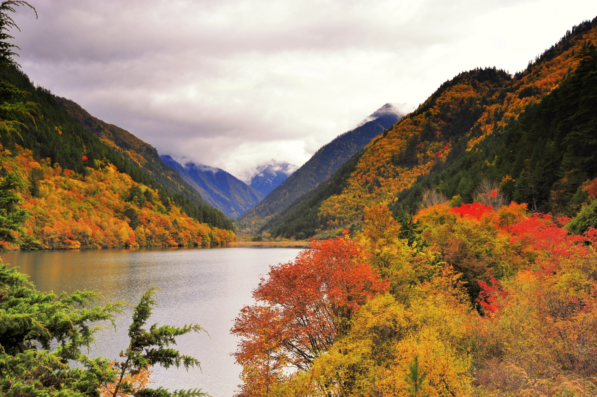 wKgBs1e8ClWAXEwuACJ3Rc3tlWo19.jpeg?imageView2%2F2%2Fw%2F680%2Fq%2F90%7CimageMogr2%2Fstrip%2Fquality%2F90