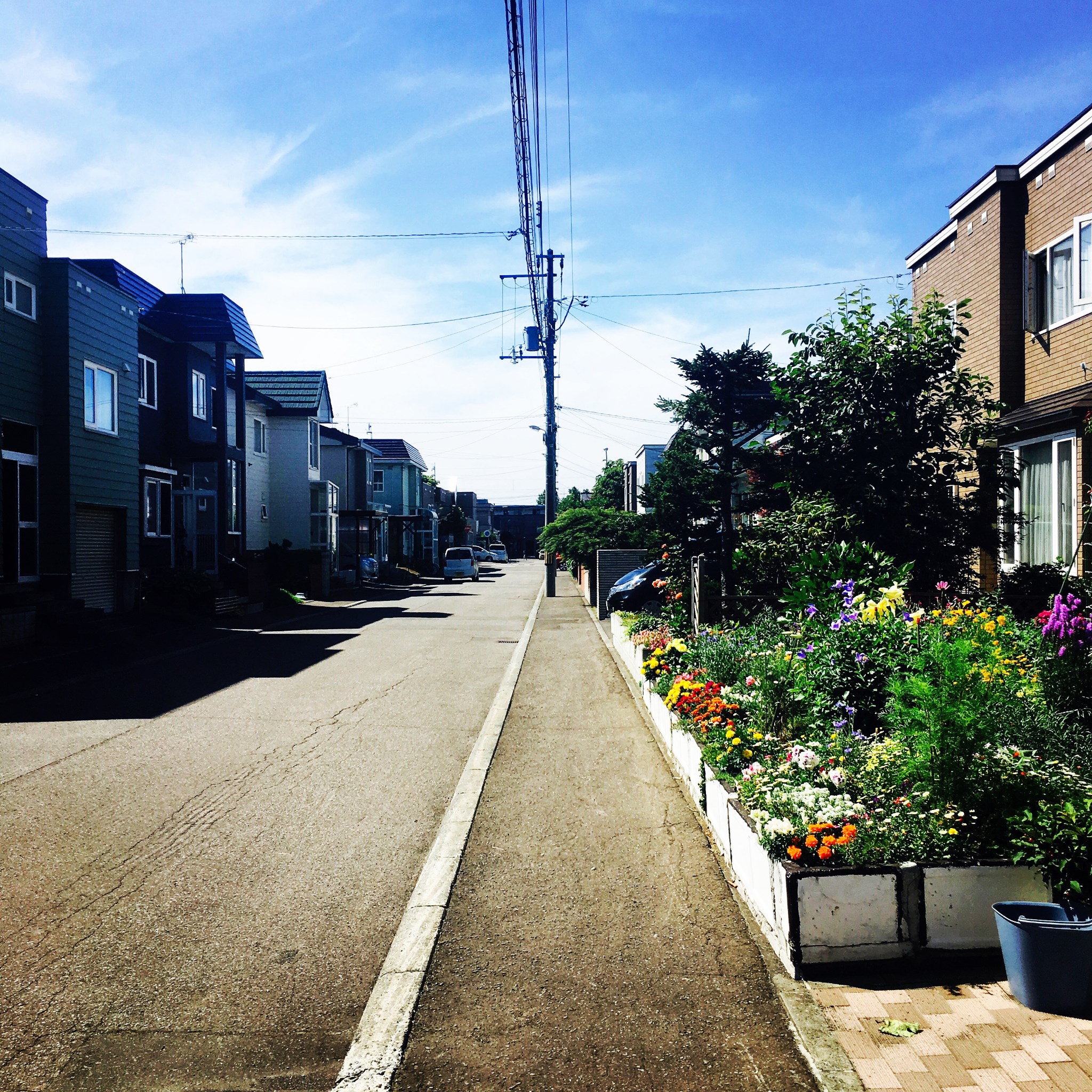 北海道自助遊攻略