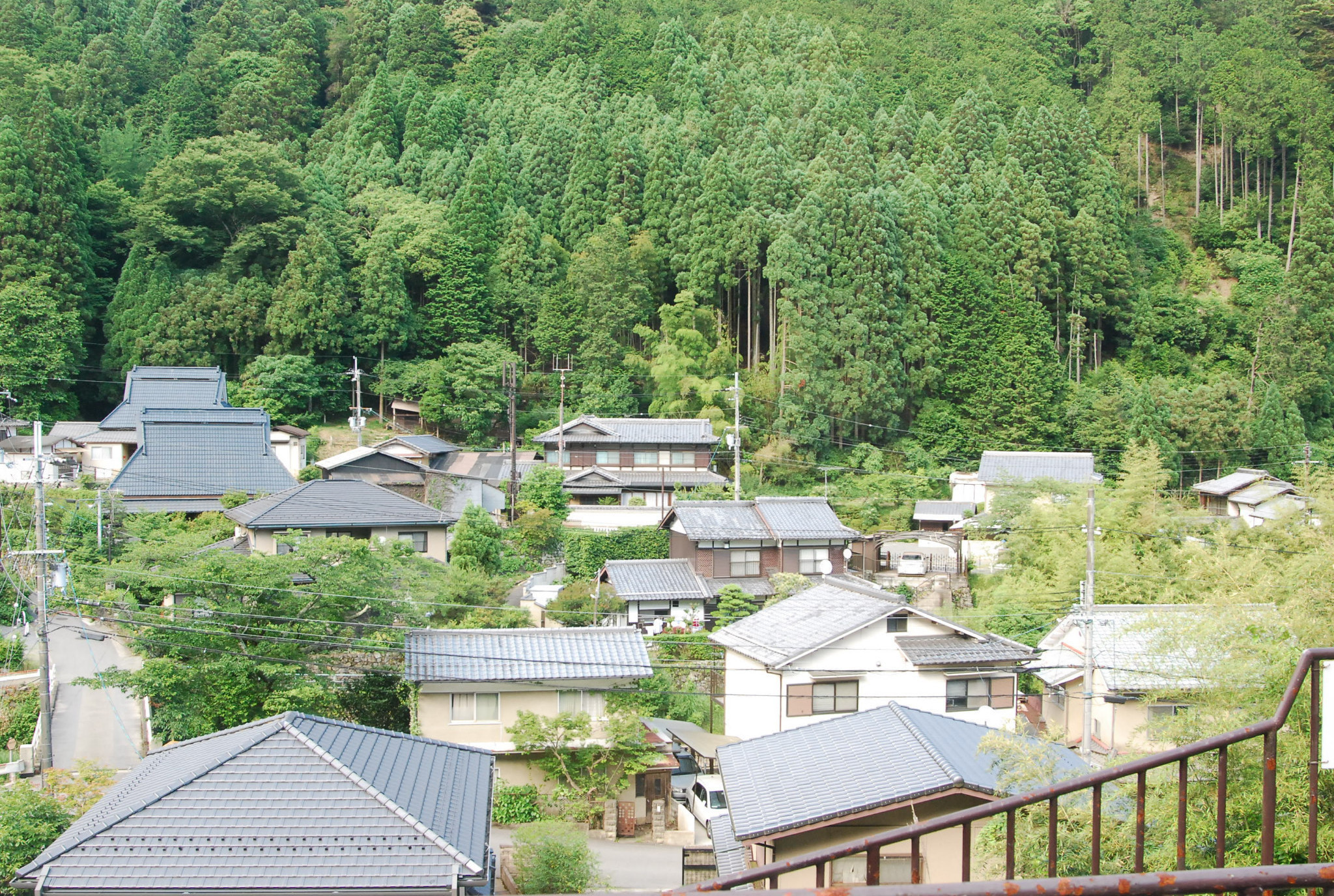 京都自助遊攻略