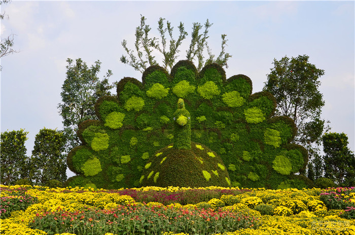 聊城 高唐赛石花朝园景点电子门票