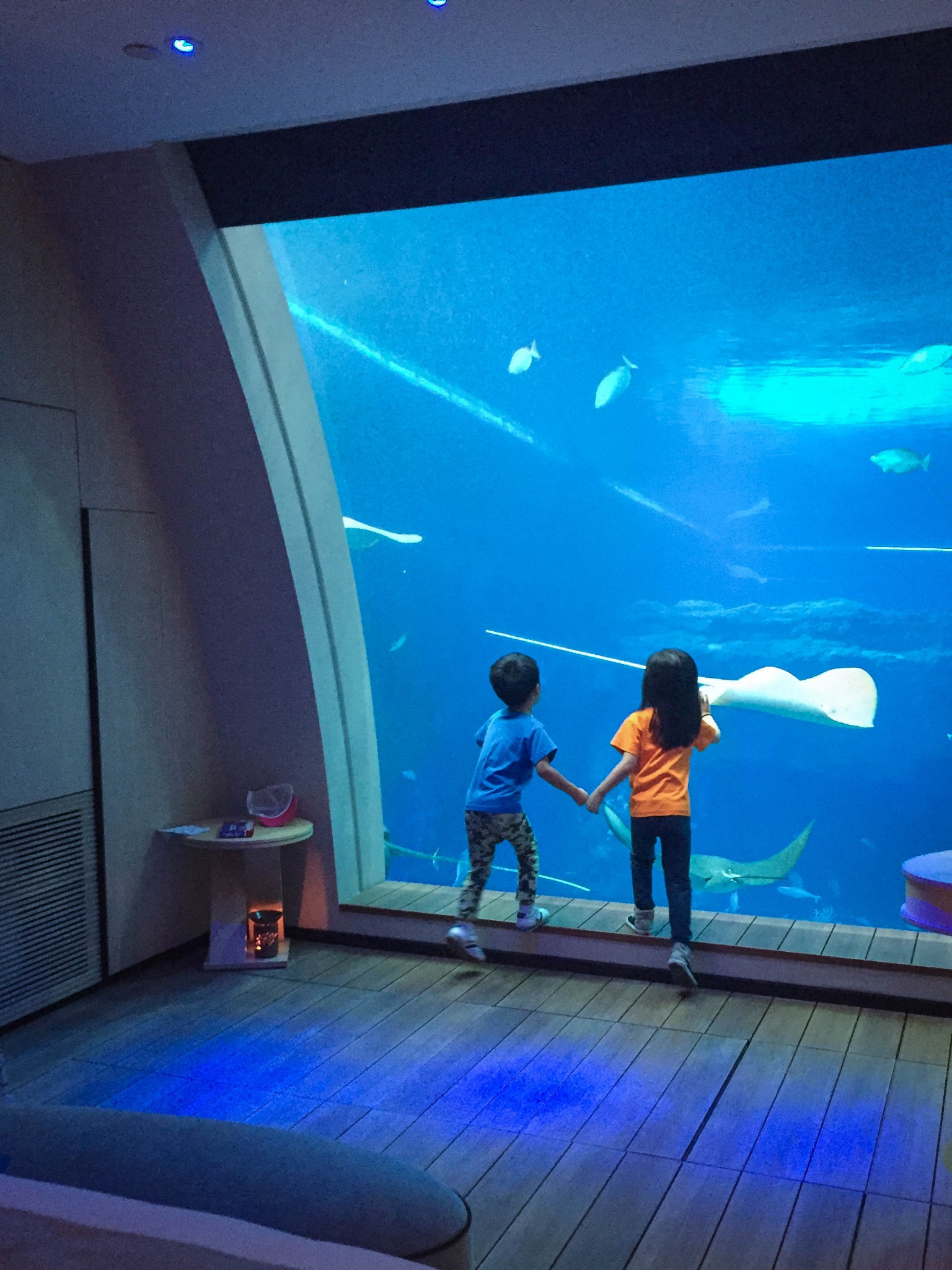 [游记+攻略]新加坡 亚洲唯一海底套房 带着孩子