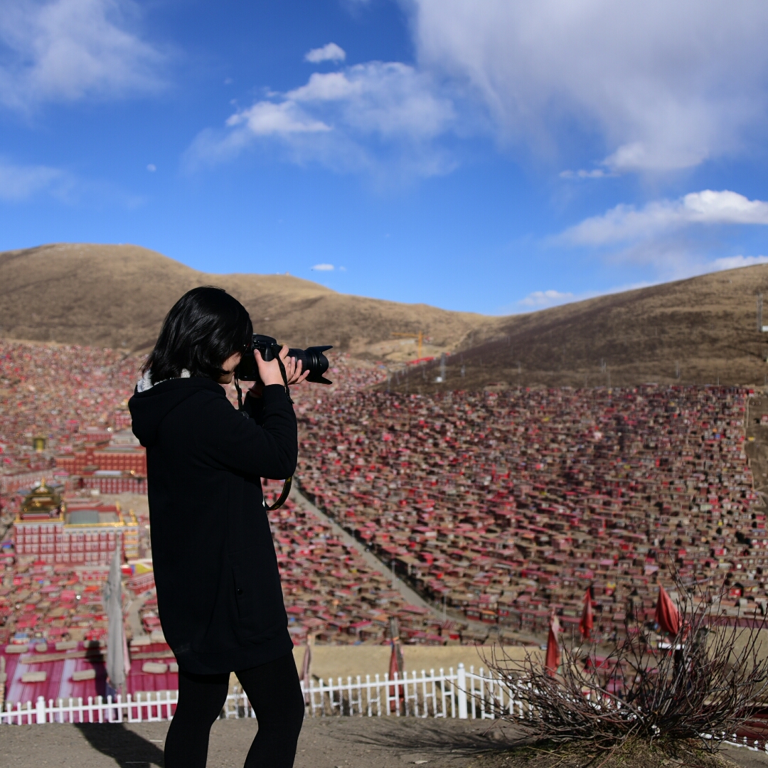 一条贪靓的墨鱼