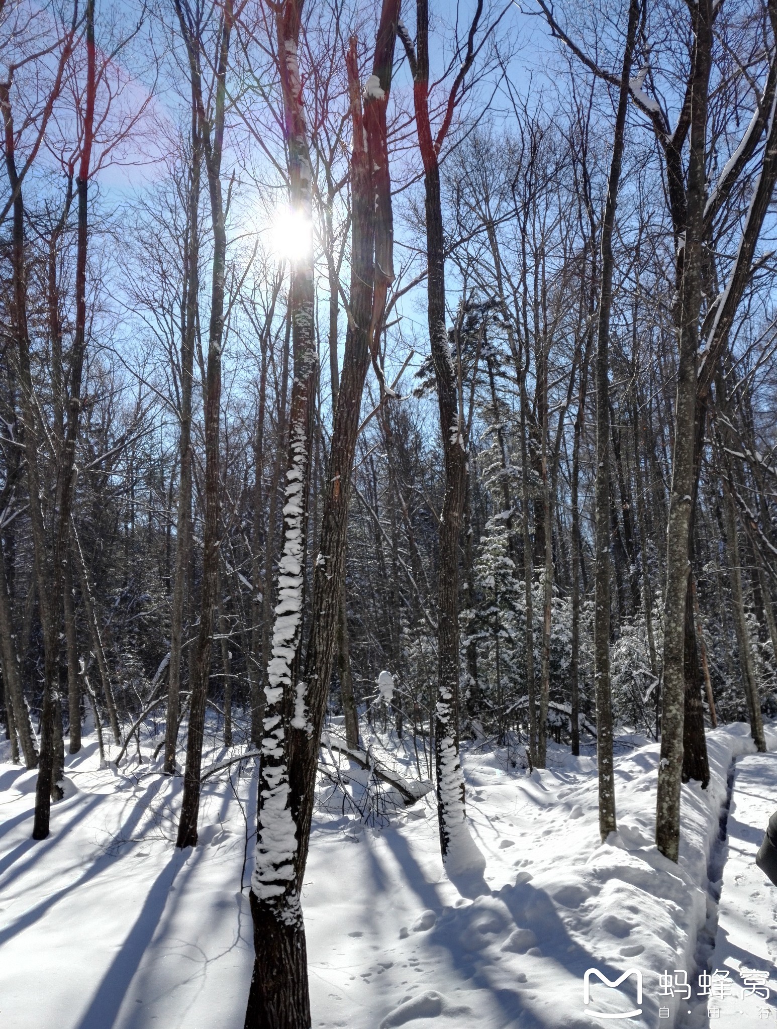 东方雪歌，记哈尔滨与长白山