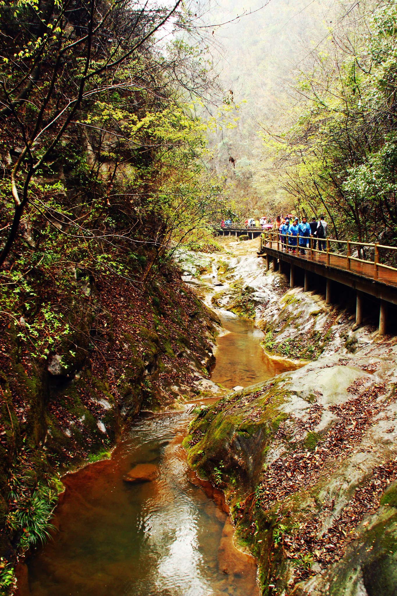游记小赛春访秦岭南麓金丝峡