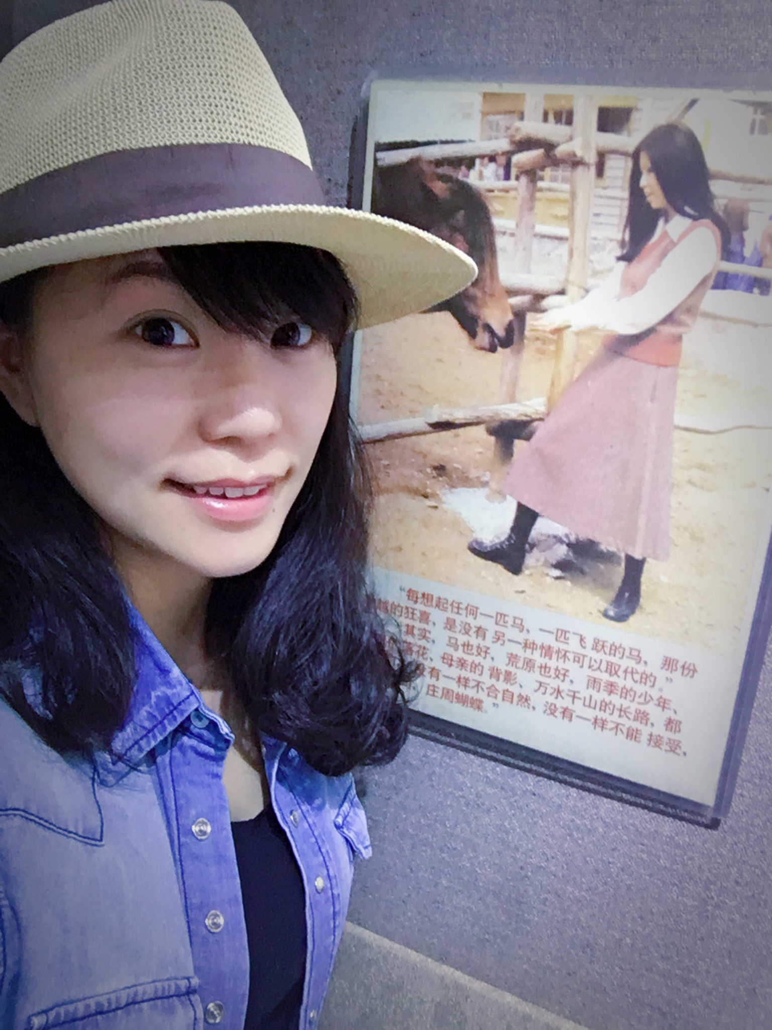 舟山:三毛祖居、定海古城、泰迪熊阿姨~