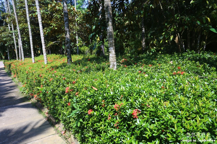 興隆熱帶植物園