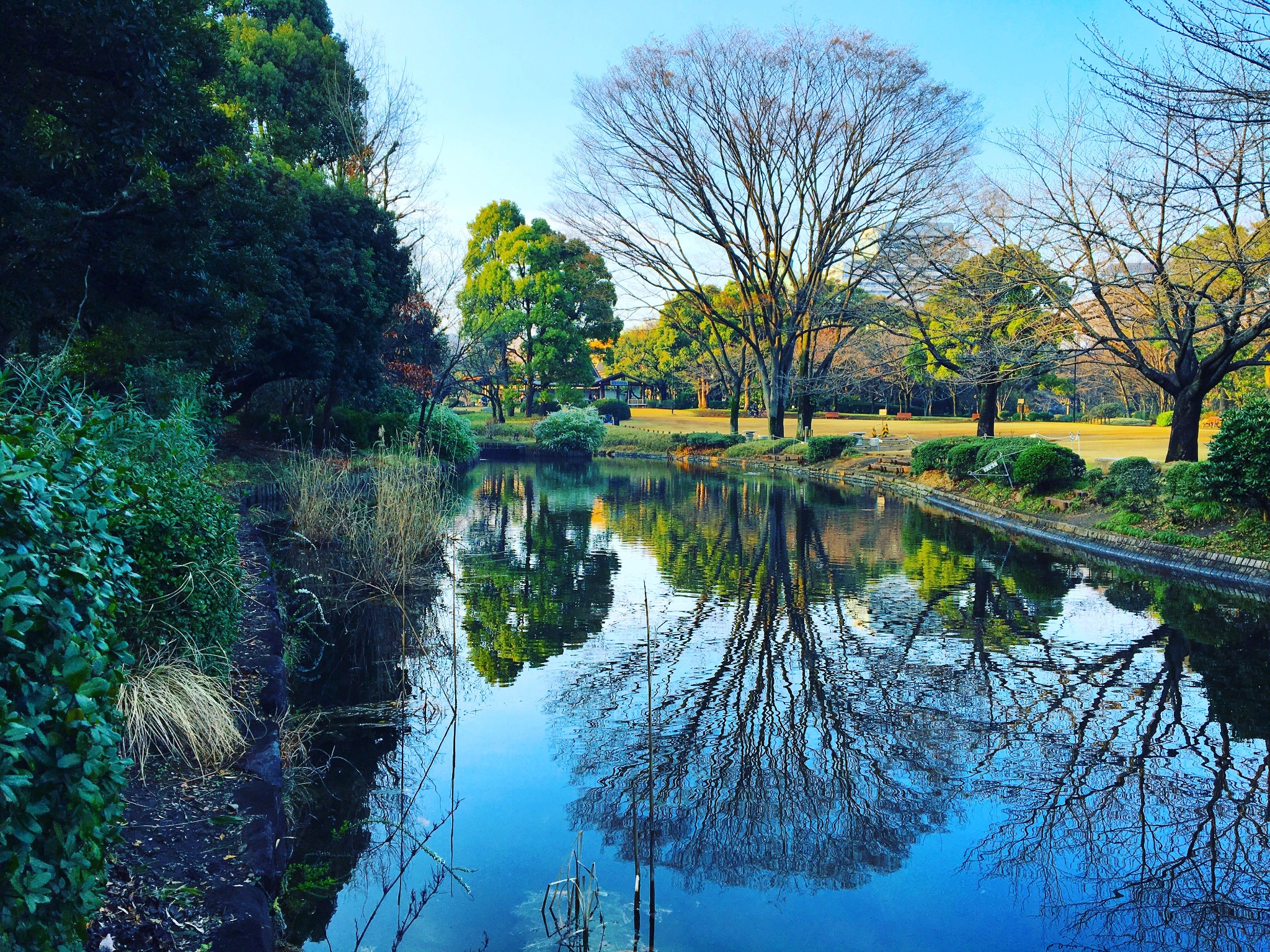 东京北之丸公园攻略,北之丸公园门票_地址,北之丸公园游览攻略 - 马