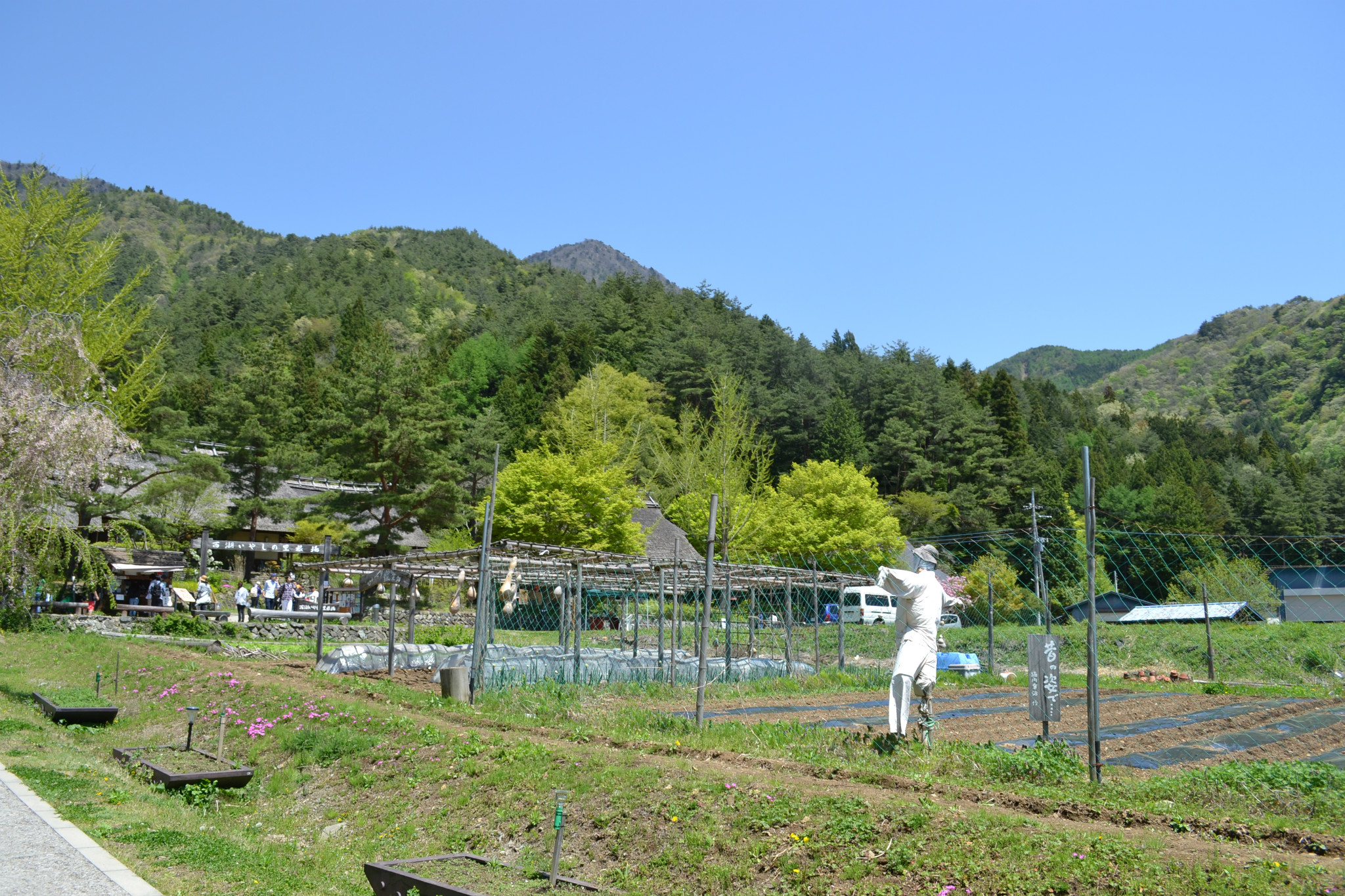 富士山自助遊攻略