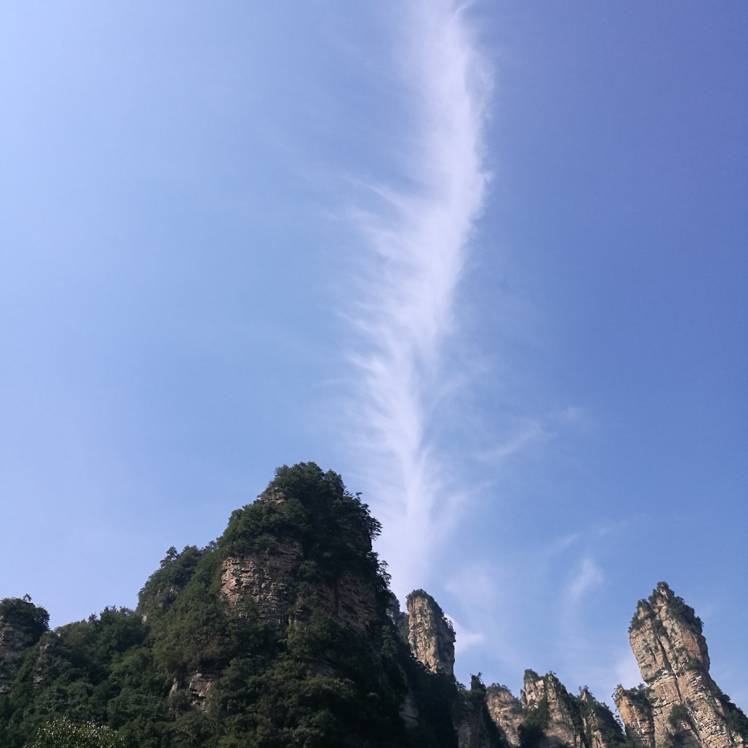 白日依山盡