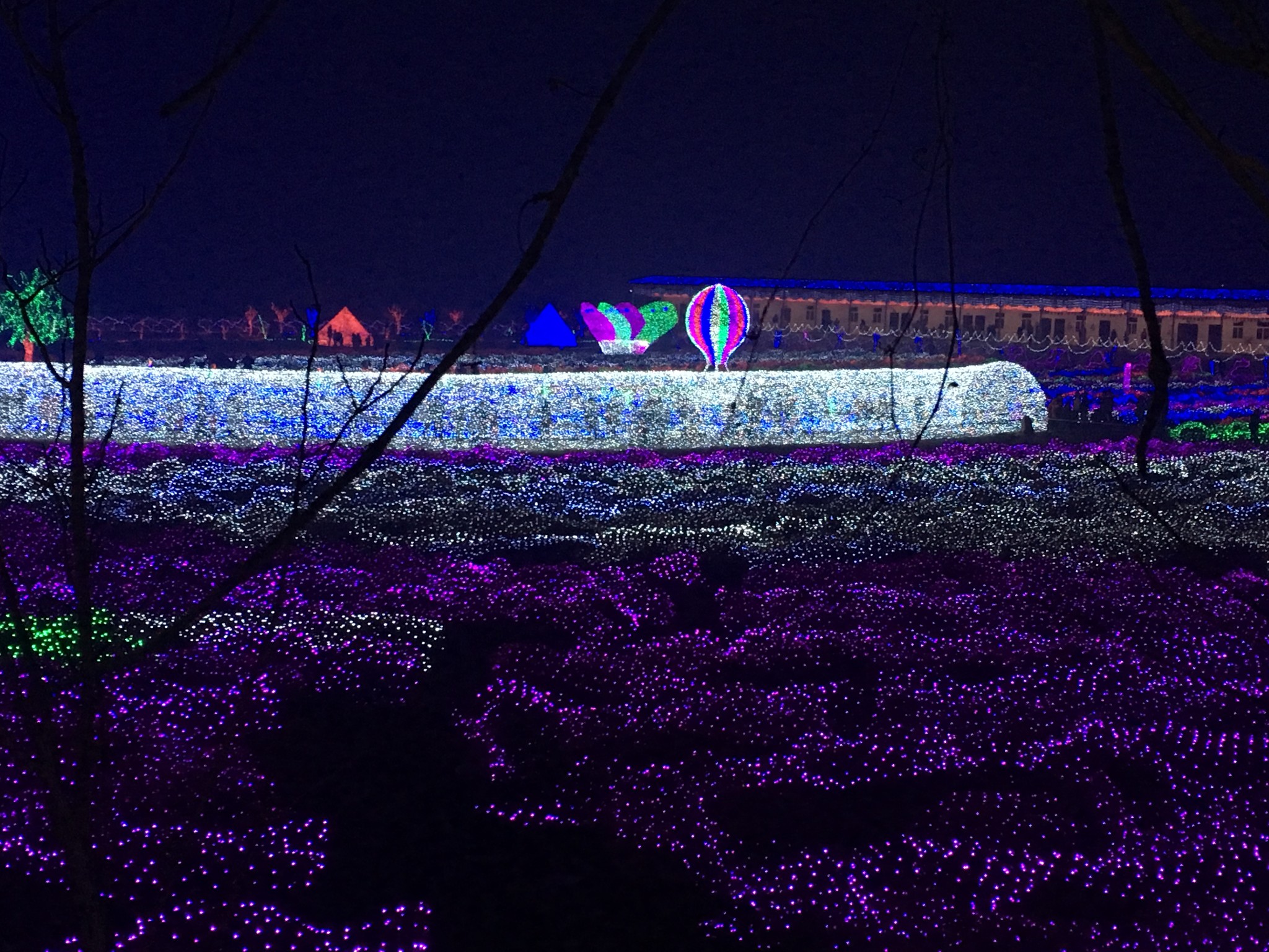 香草湖夜景图片