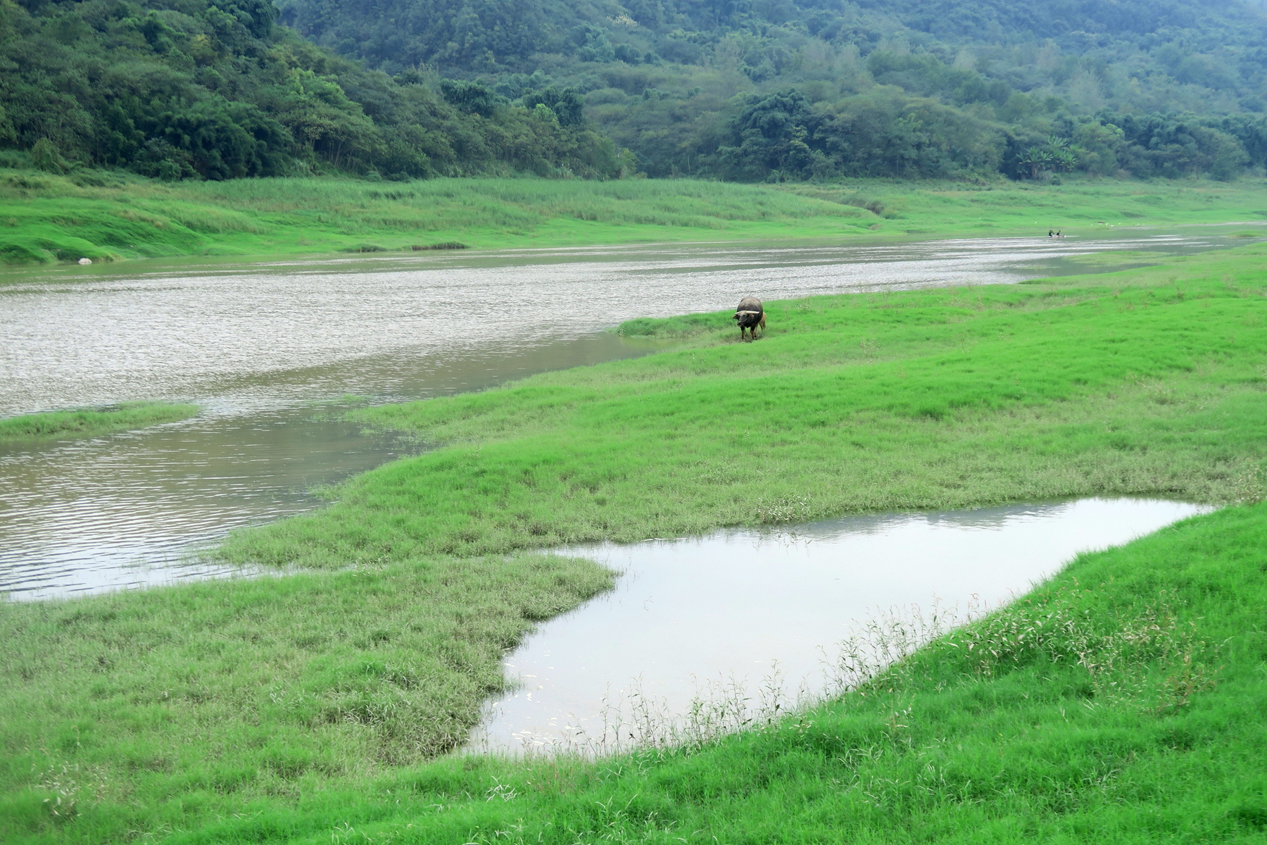 重庆的呼伦贝尔一南平坝