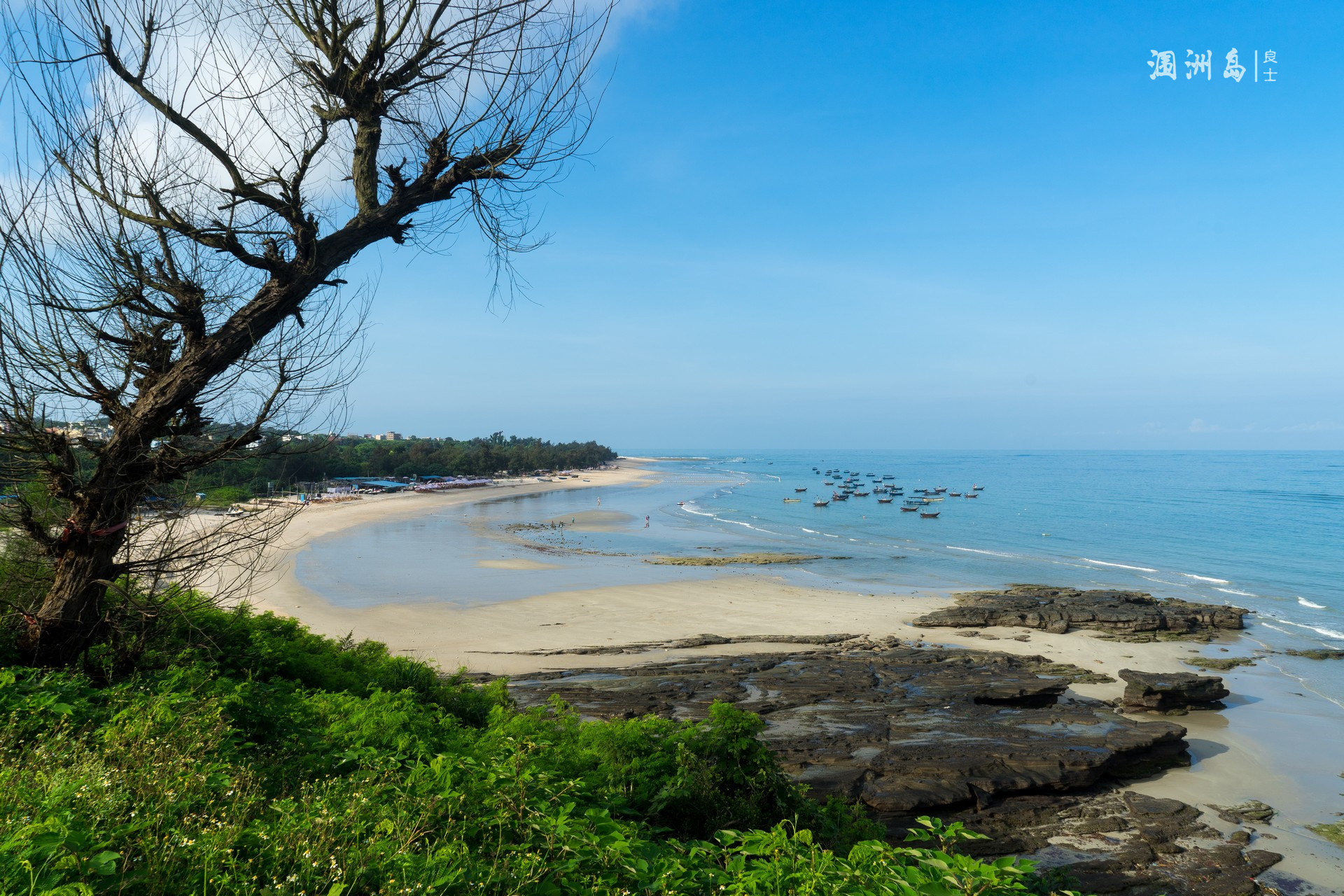 中國最美的小島--潿洲島【廣西北海】,北海自助遊攻略 - 馬蜂窩