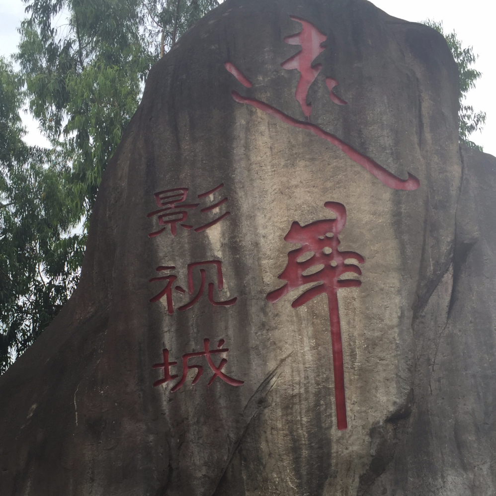 随心