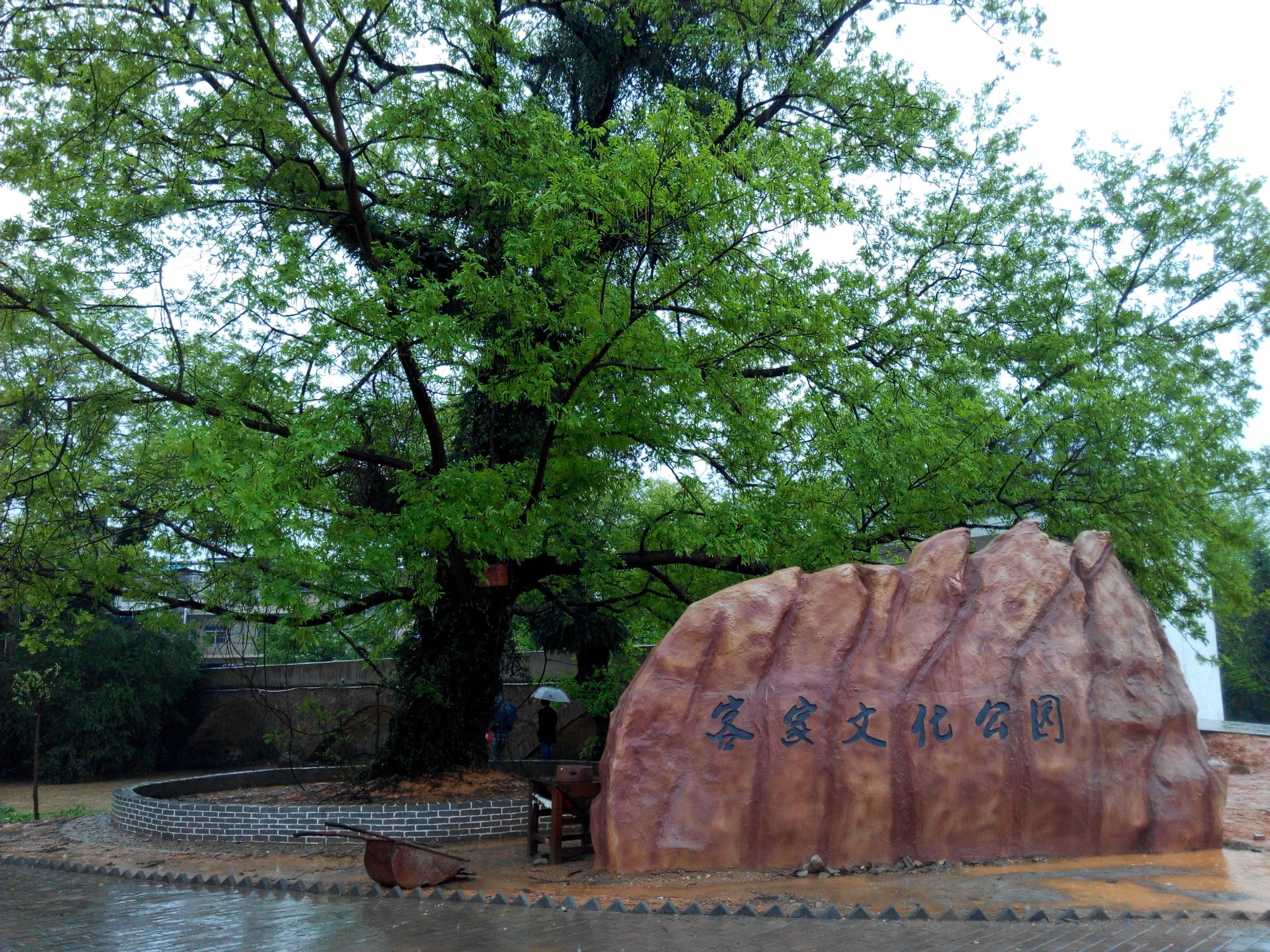 信丰县大桥镇携"艾"同行活动(2016-3-20)