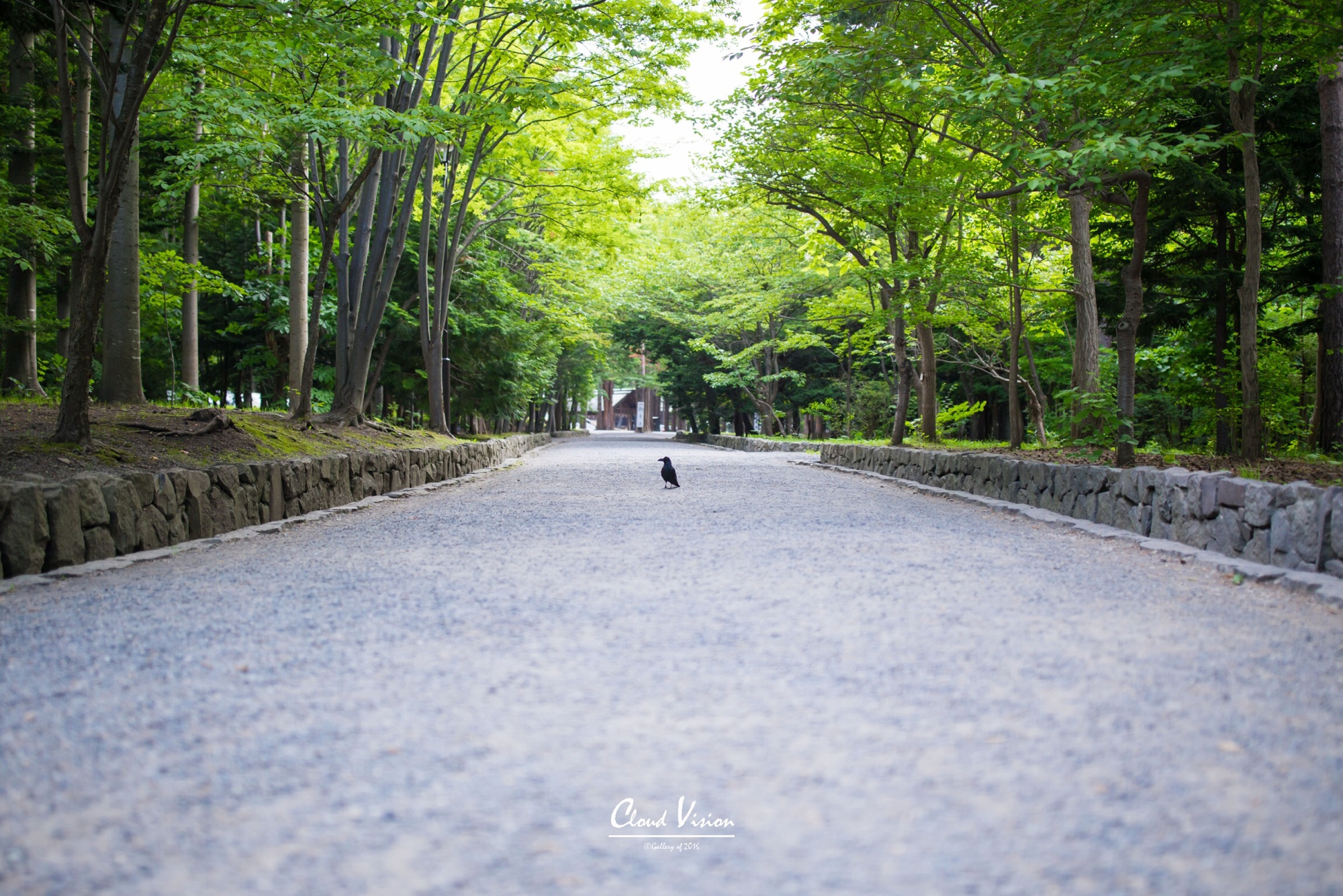 北海道自助遊攻略