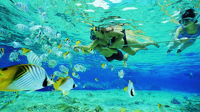 【苏梅岛出发】涛岛1站 浮潜 海底深潜一日游(音斯私人高级快艇 含