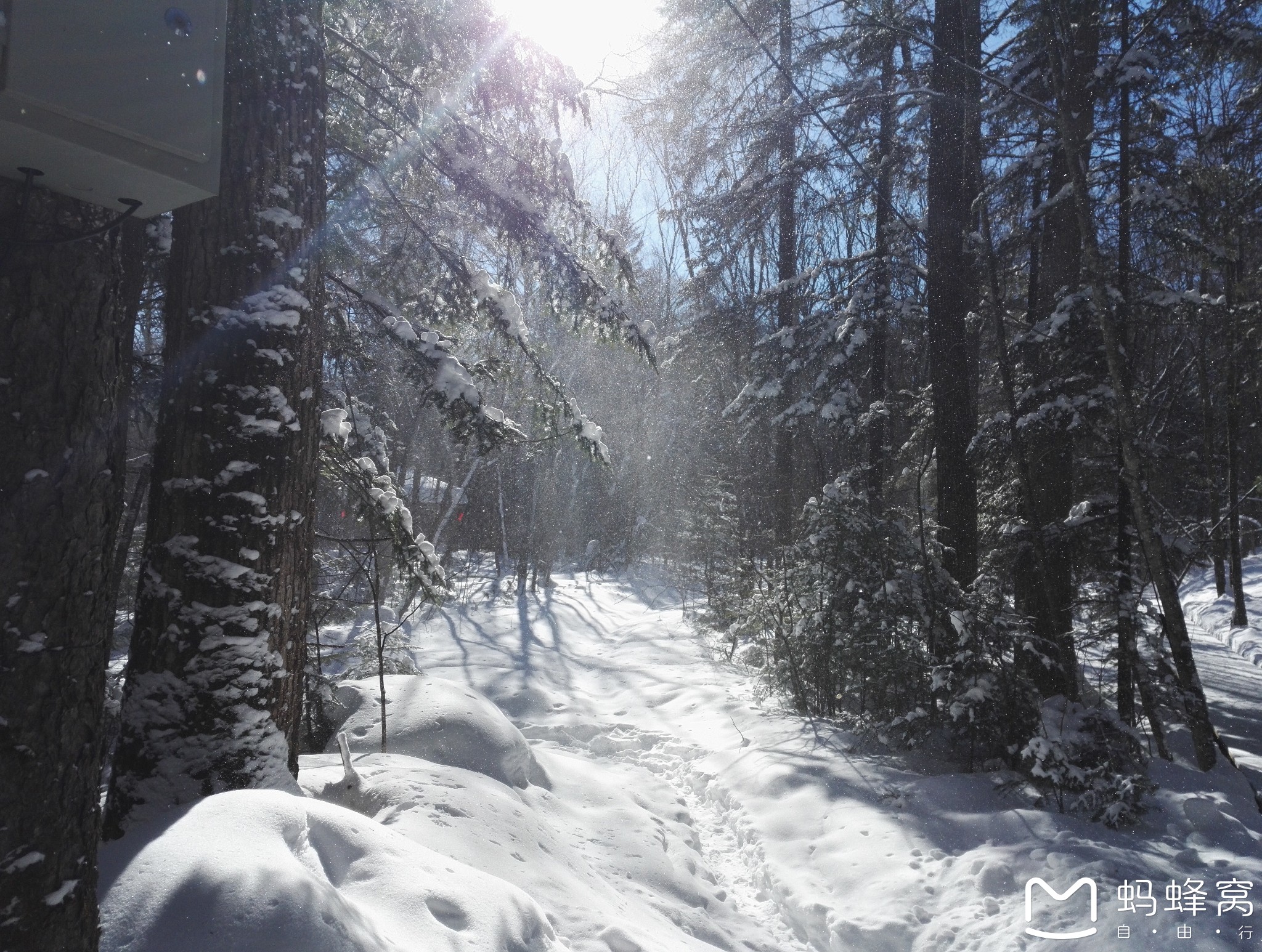 东方雪歌，记哈尔滨与长白山