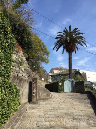 活水女子大学旅游图片,活水女子大学自助游图片,活水女子大学旅游景点