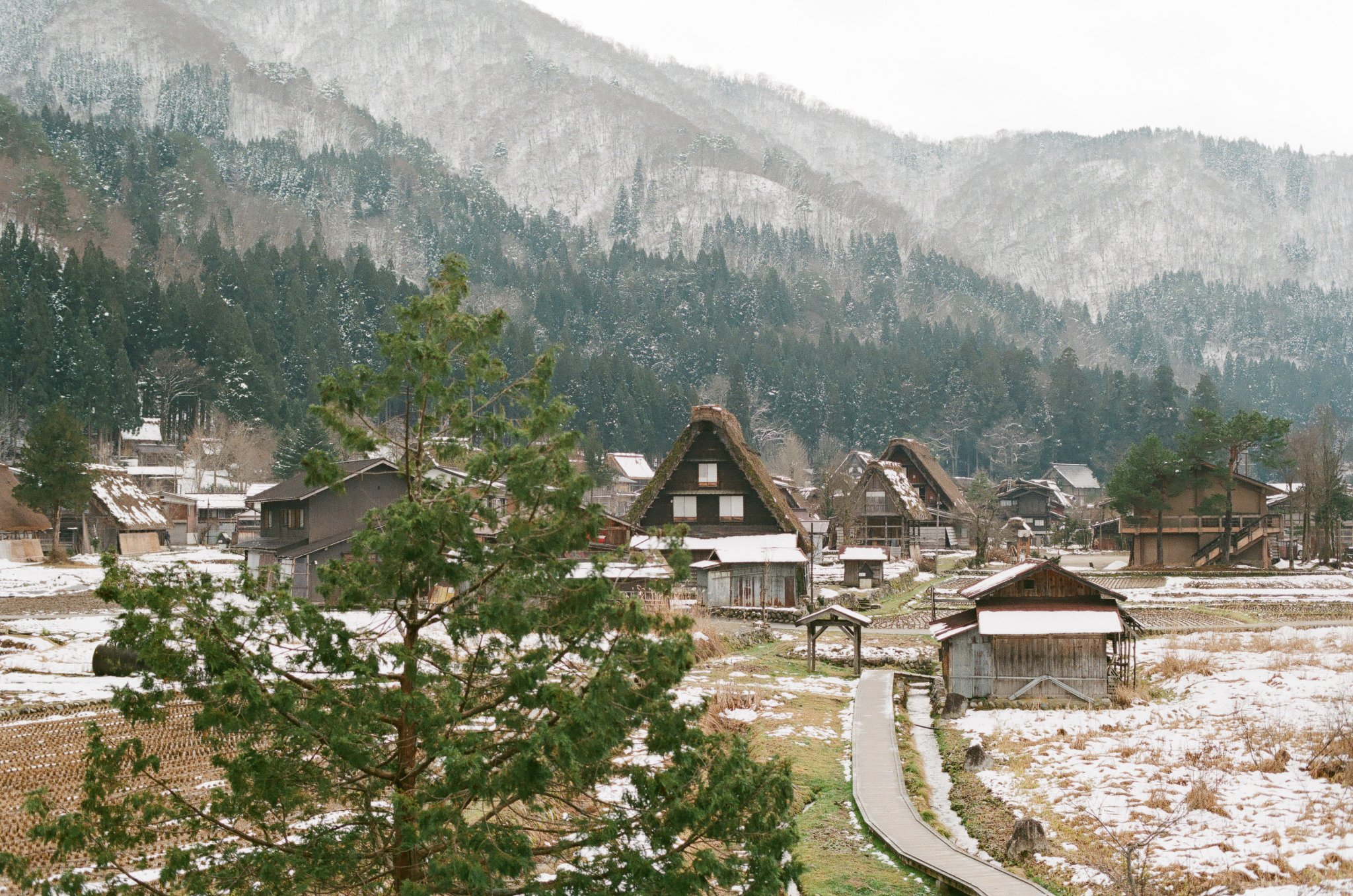 北海道自助遊攻略