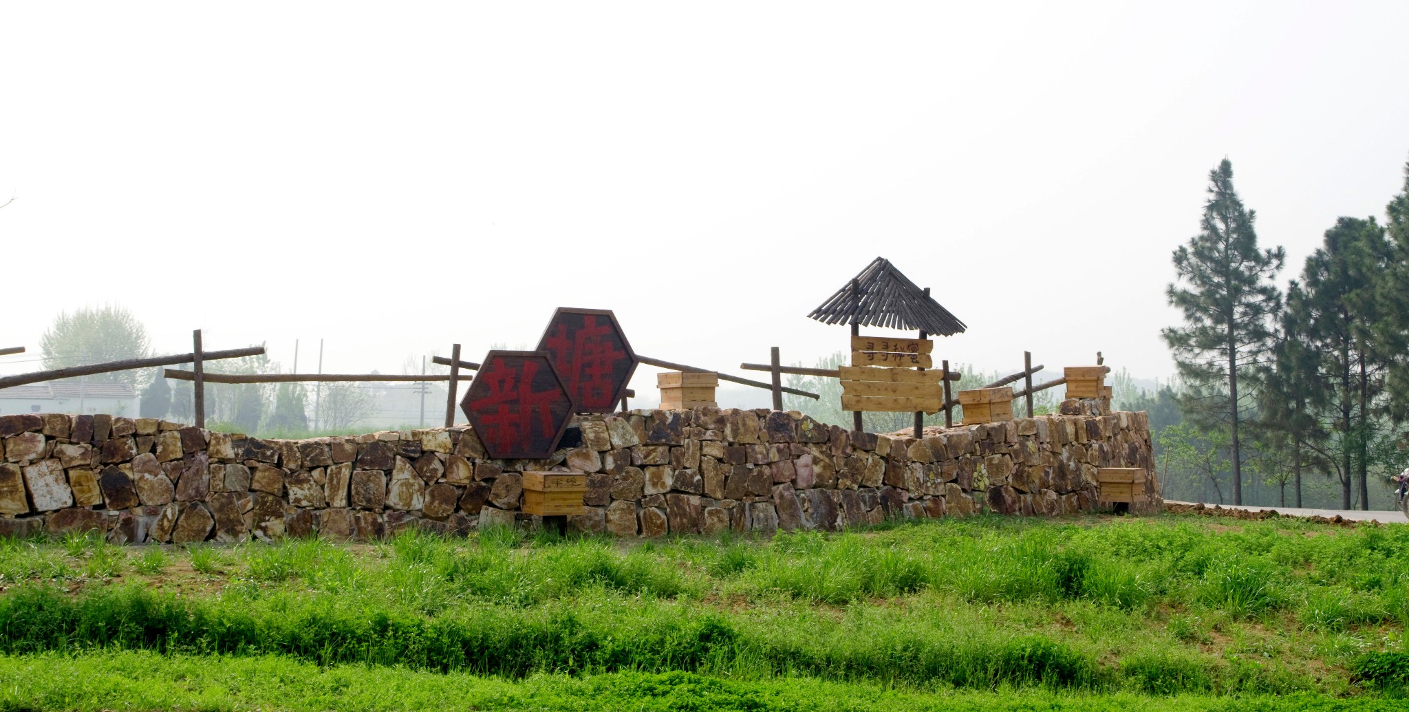 南京江宁美丽乡村一日“游”（一）