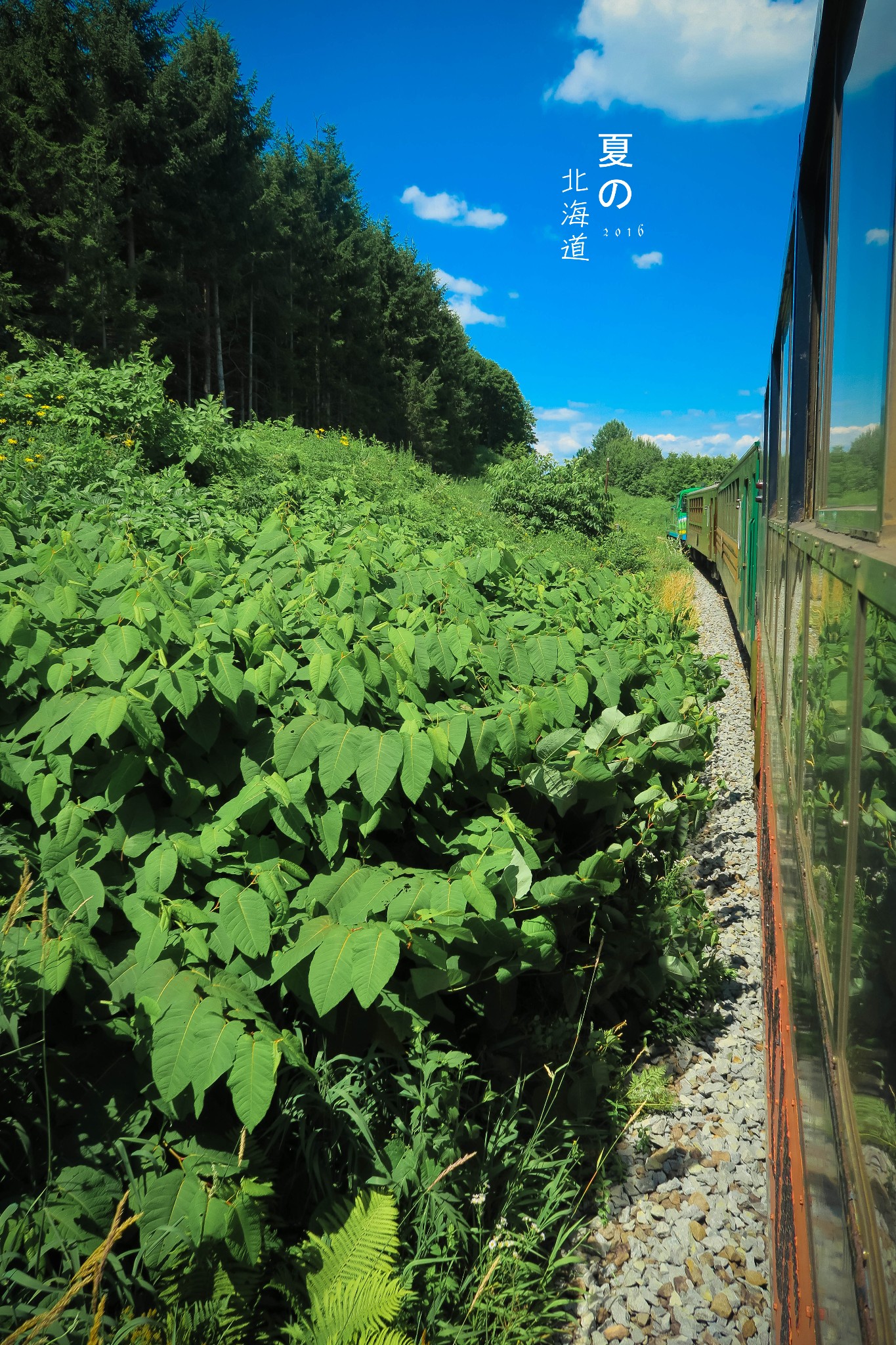 北海道自助遊攻略