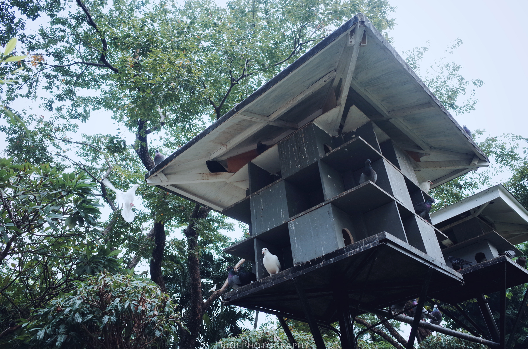 杜馬蓋地自助遊攻略