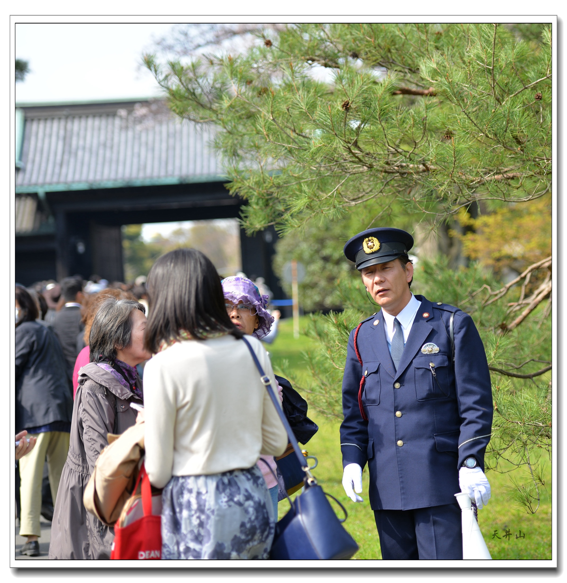 東京自助遊攻略