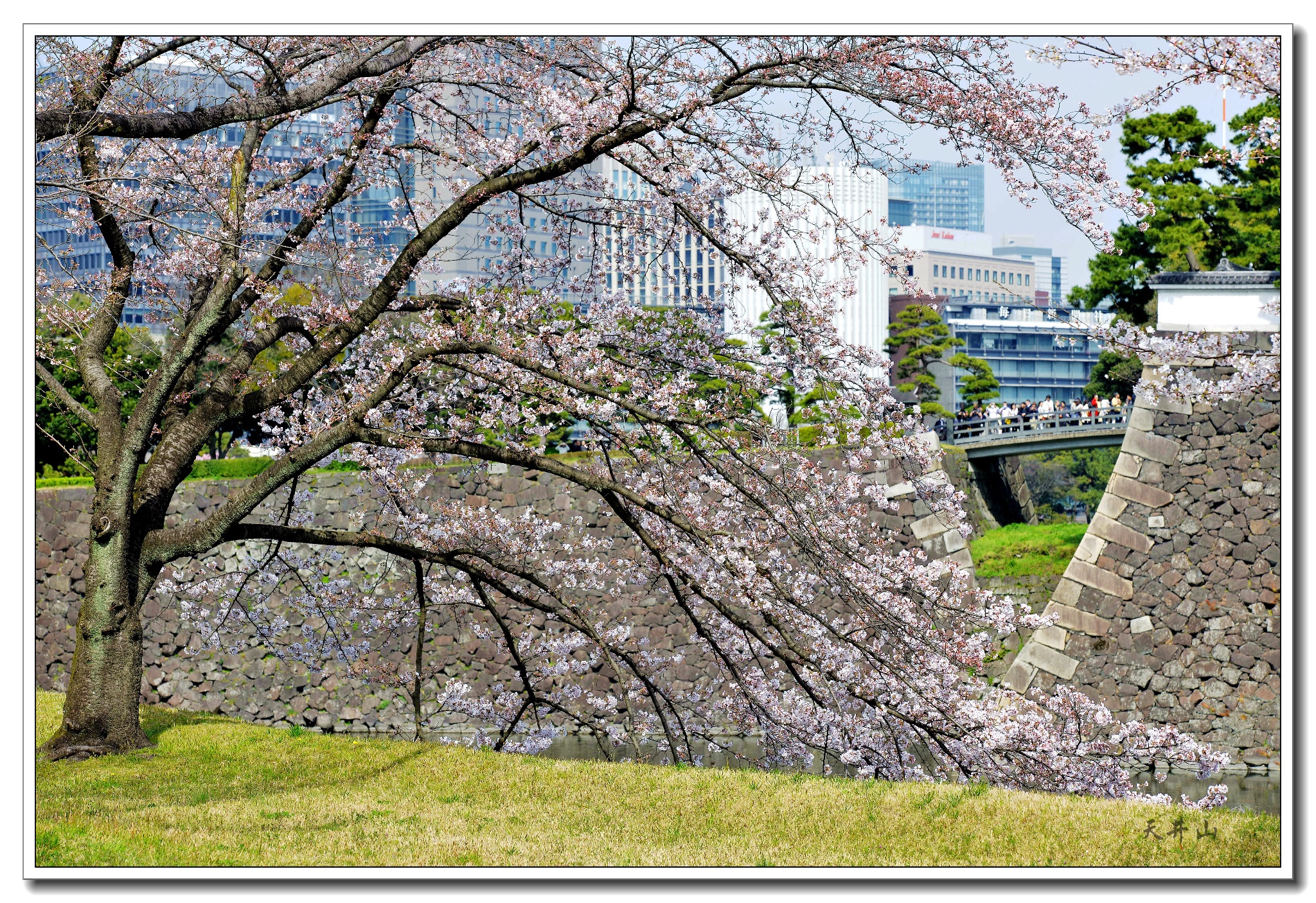 東京自助遊攻略