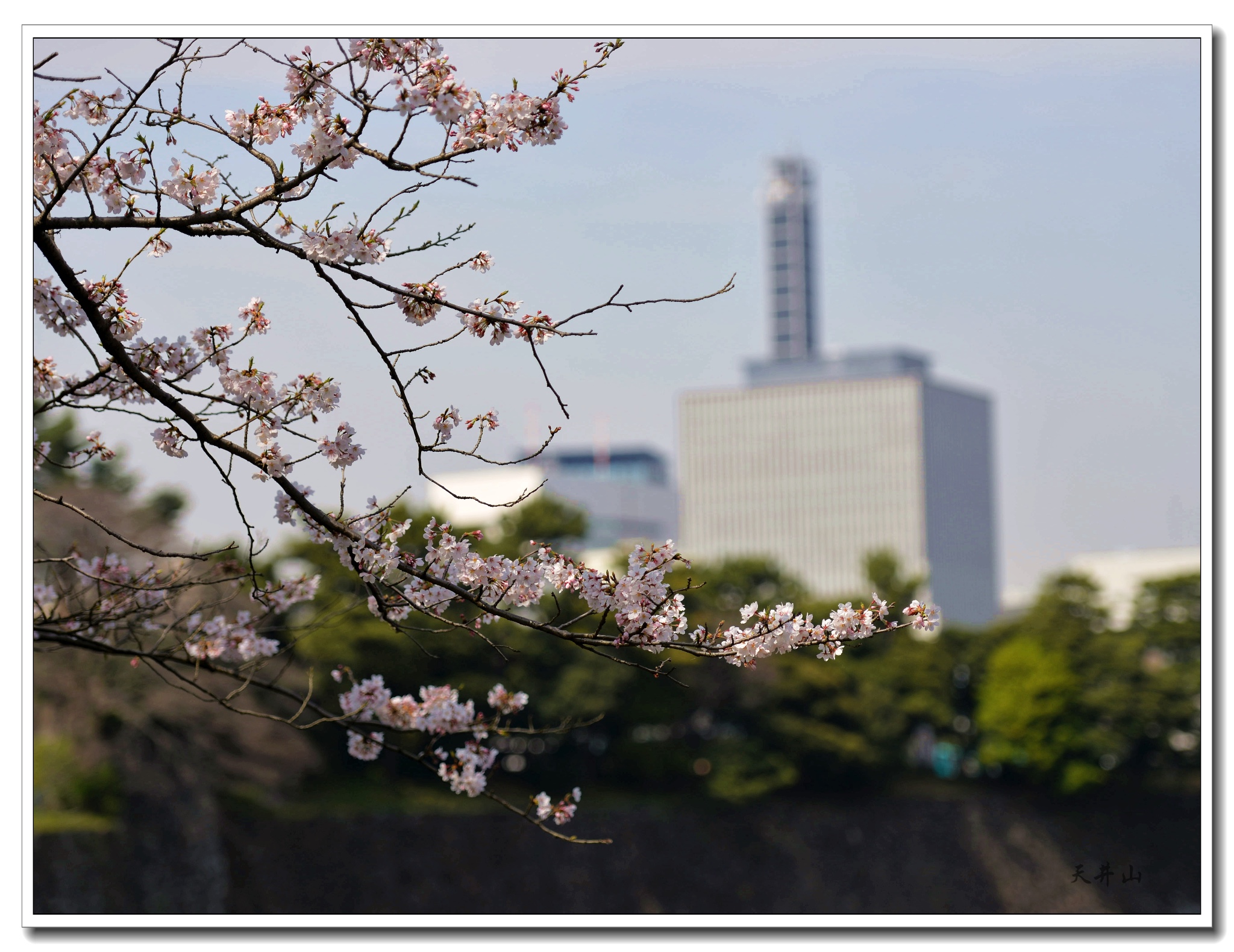 東京自助遊攻略