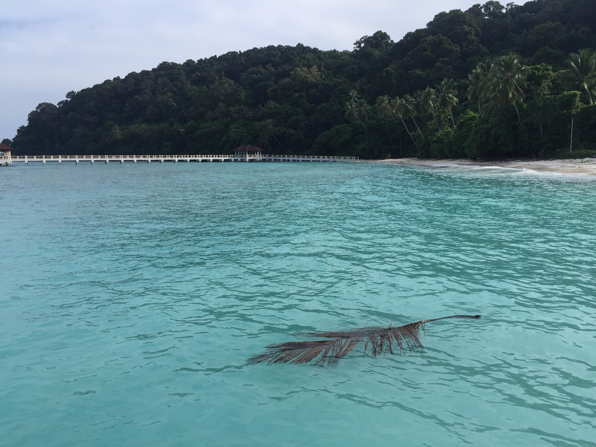 熱浪島自助遊攻略