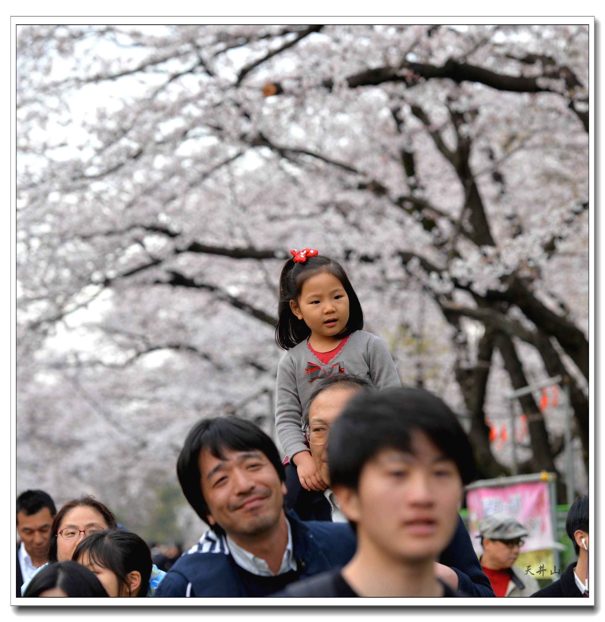 東京自助遊攻略