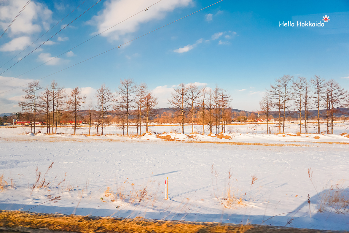 北海道自助遊攻略