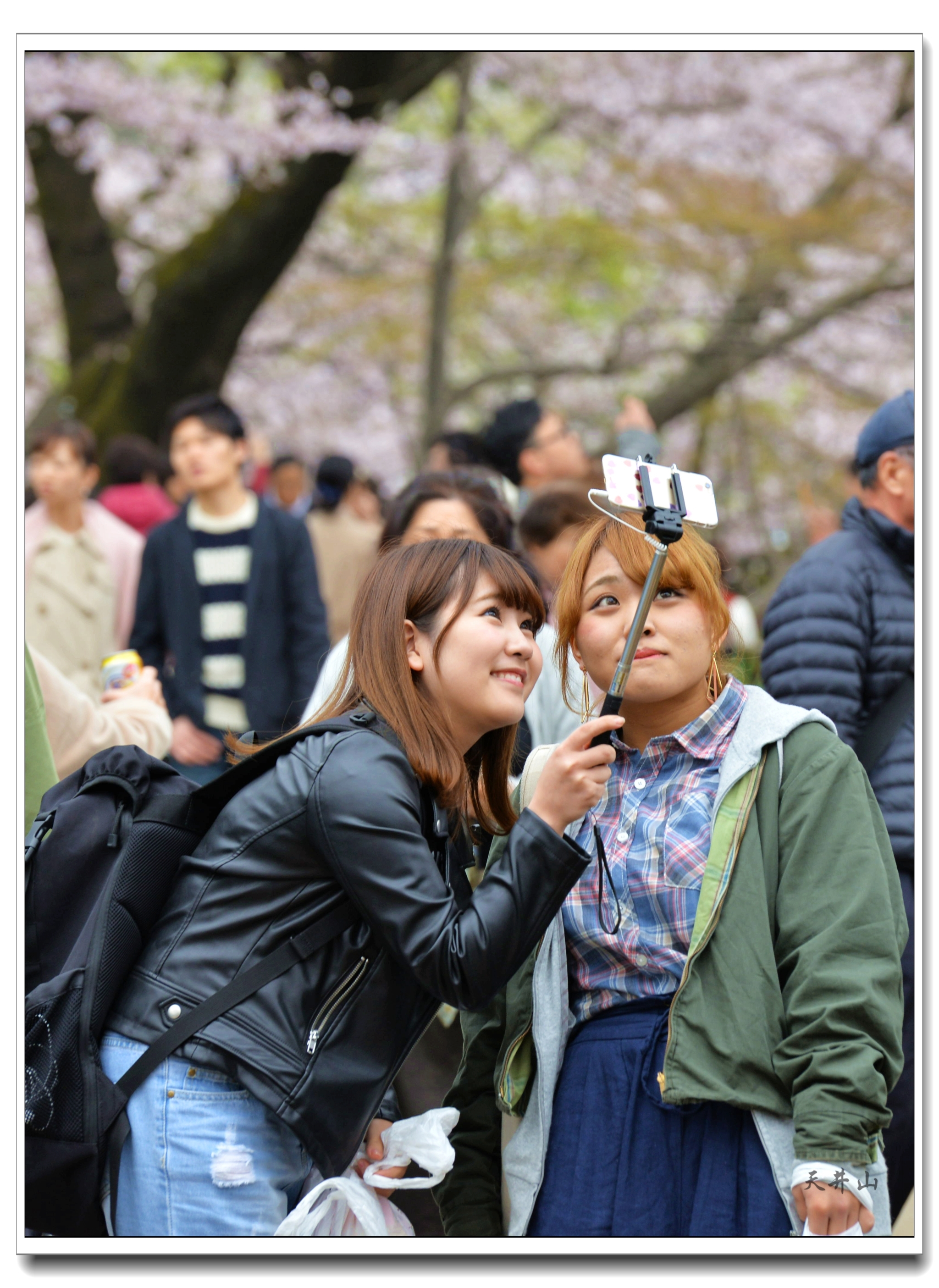 東京自助遊攻略