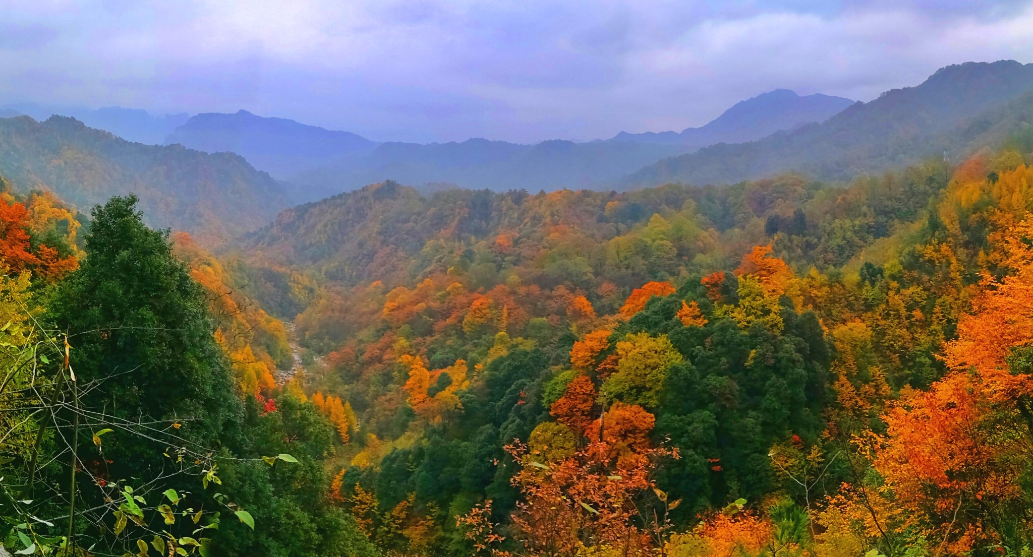 巴中旅游图片,巴中自助游图片,巴中旅游景点照片 马蜂窝图库 马