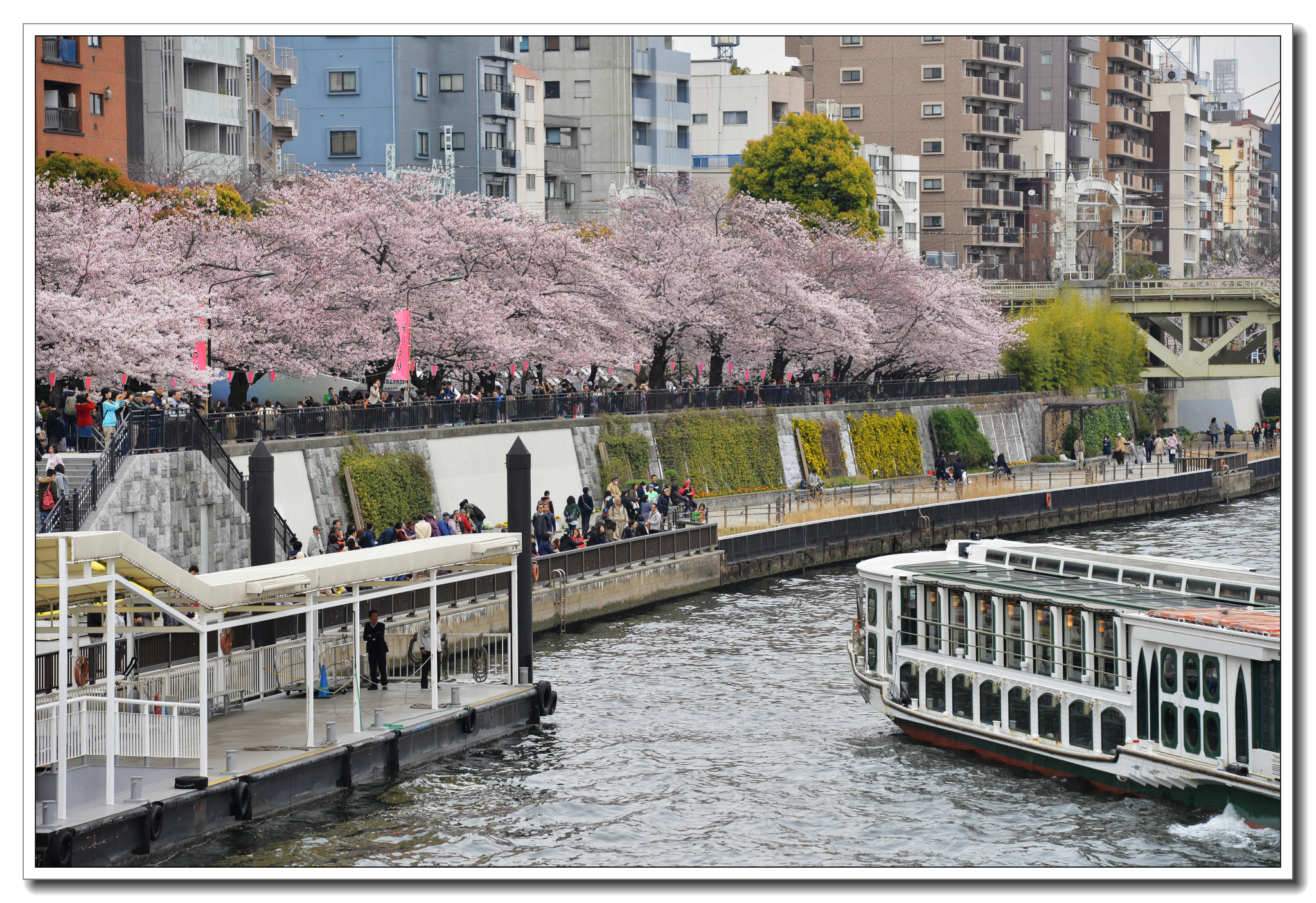 東京自助遊攻略