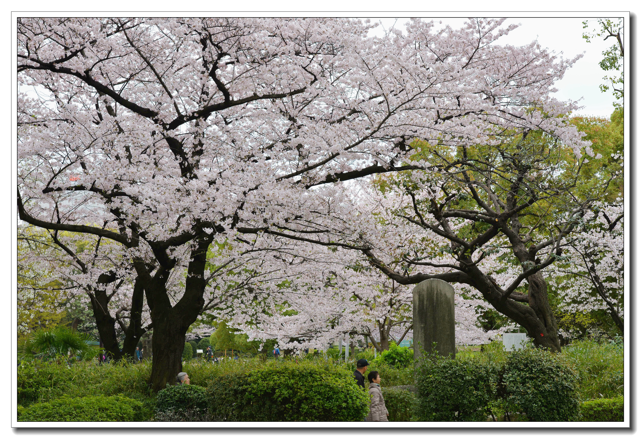 東京自助遊攻略