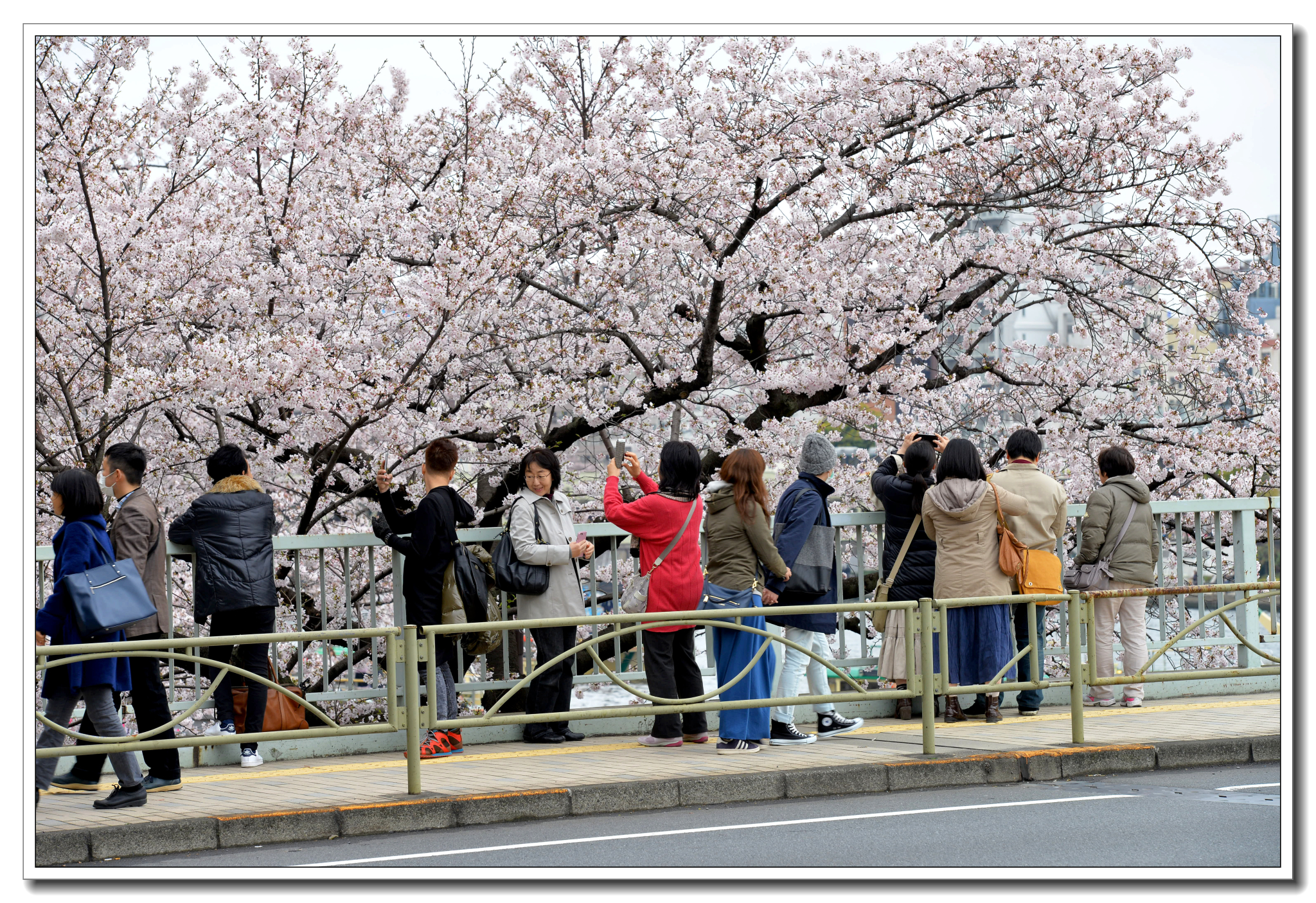 東京自助遊攻略