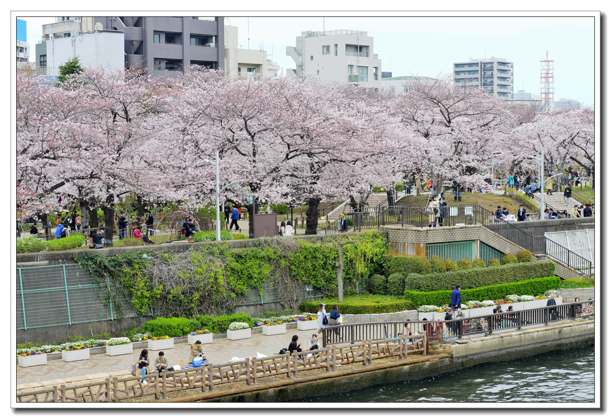 東京自助遊攻略