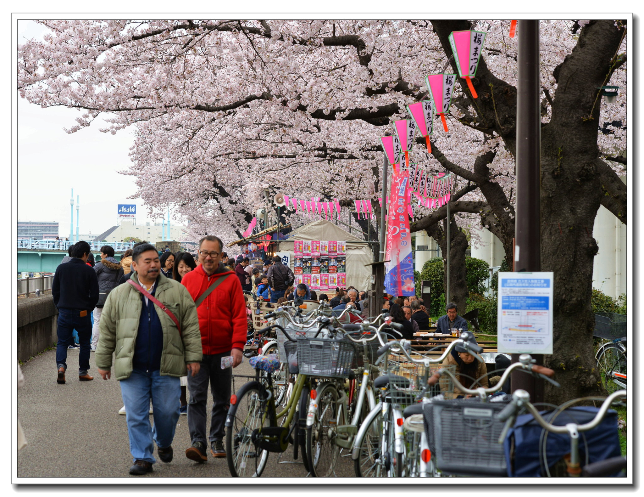 東京自助遊攻略